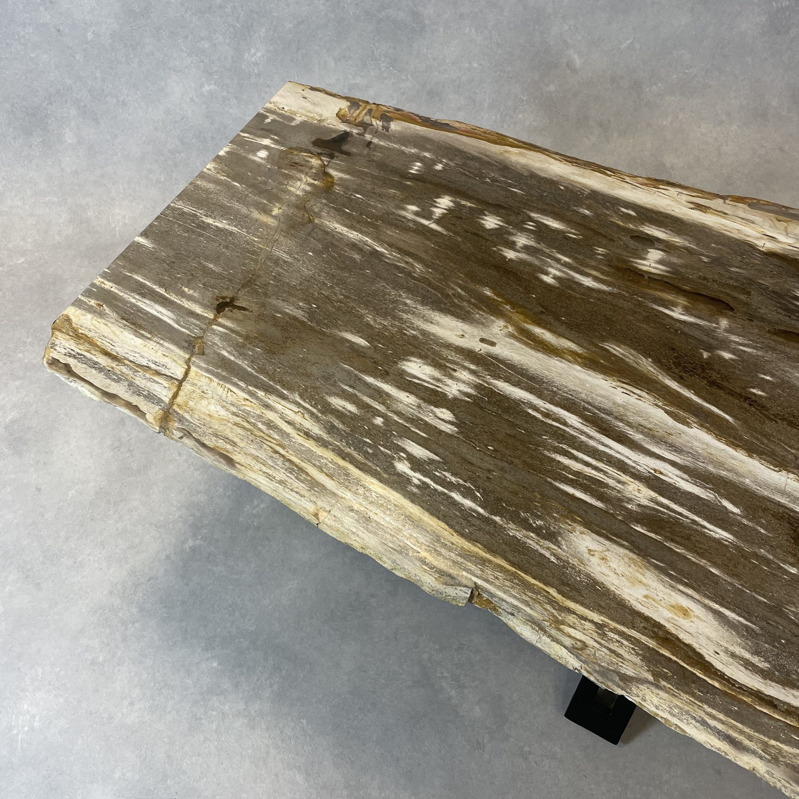 Couchtisch aus versteinertem Holz