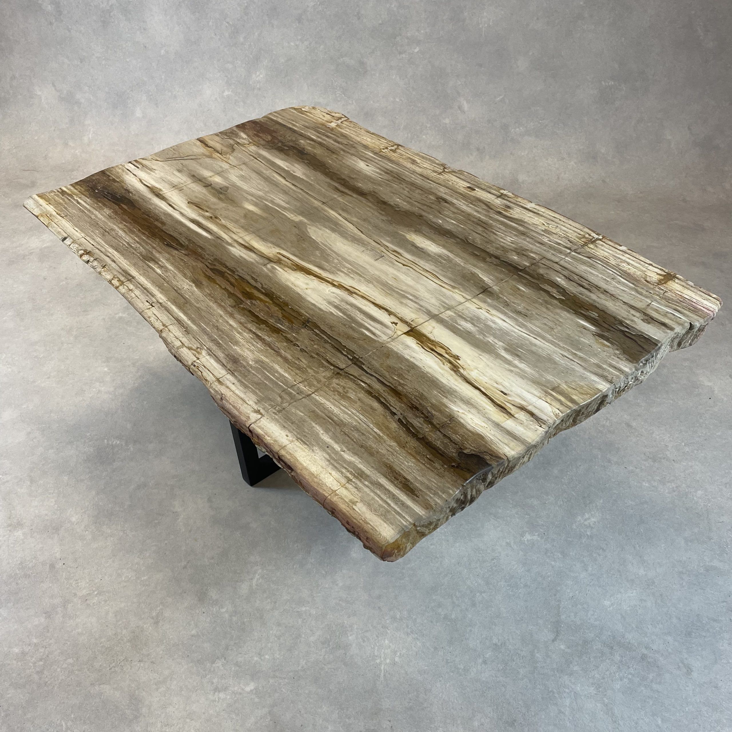 Versteend hout salontafel