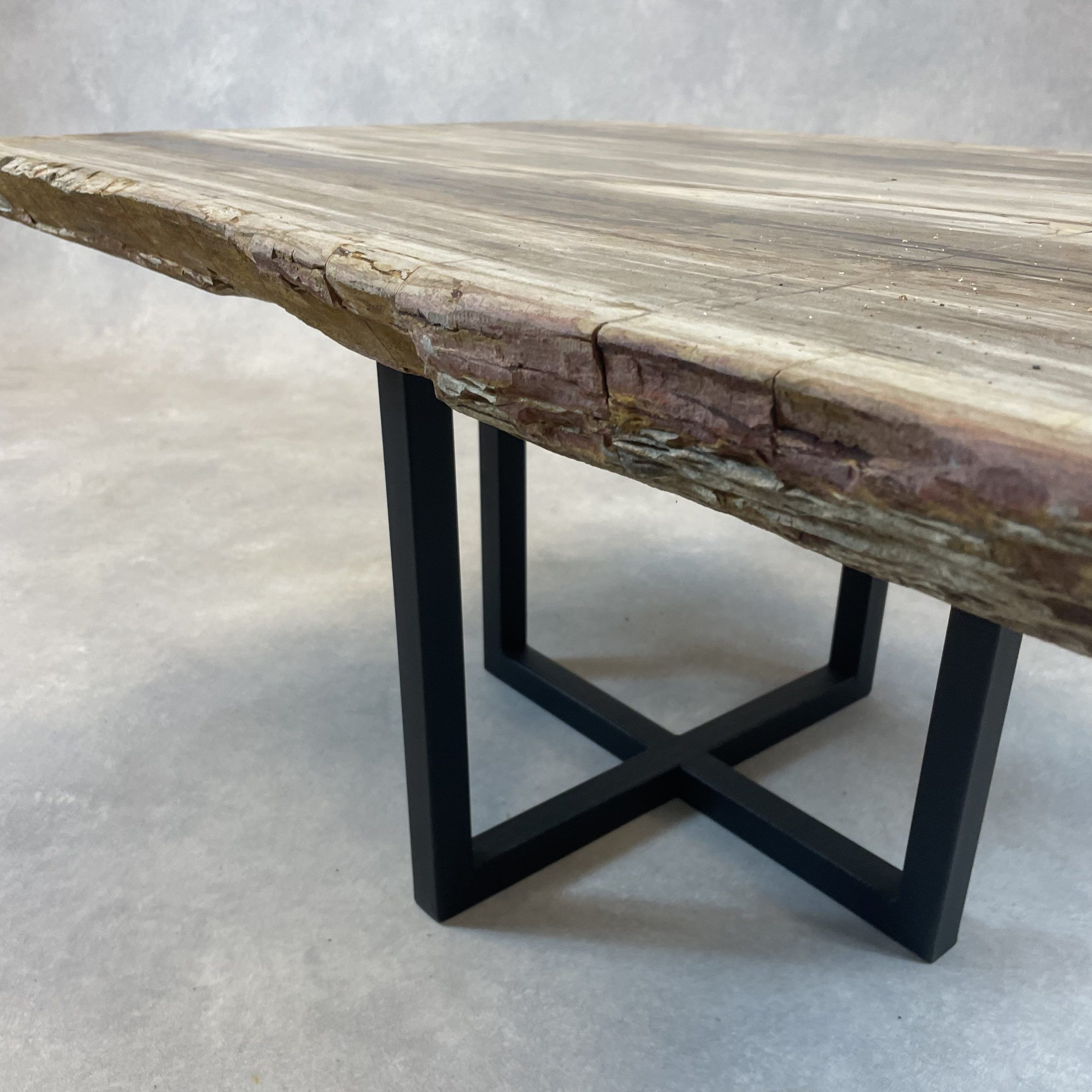Versteend hout salontafel