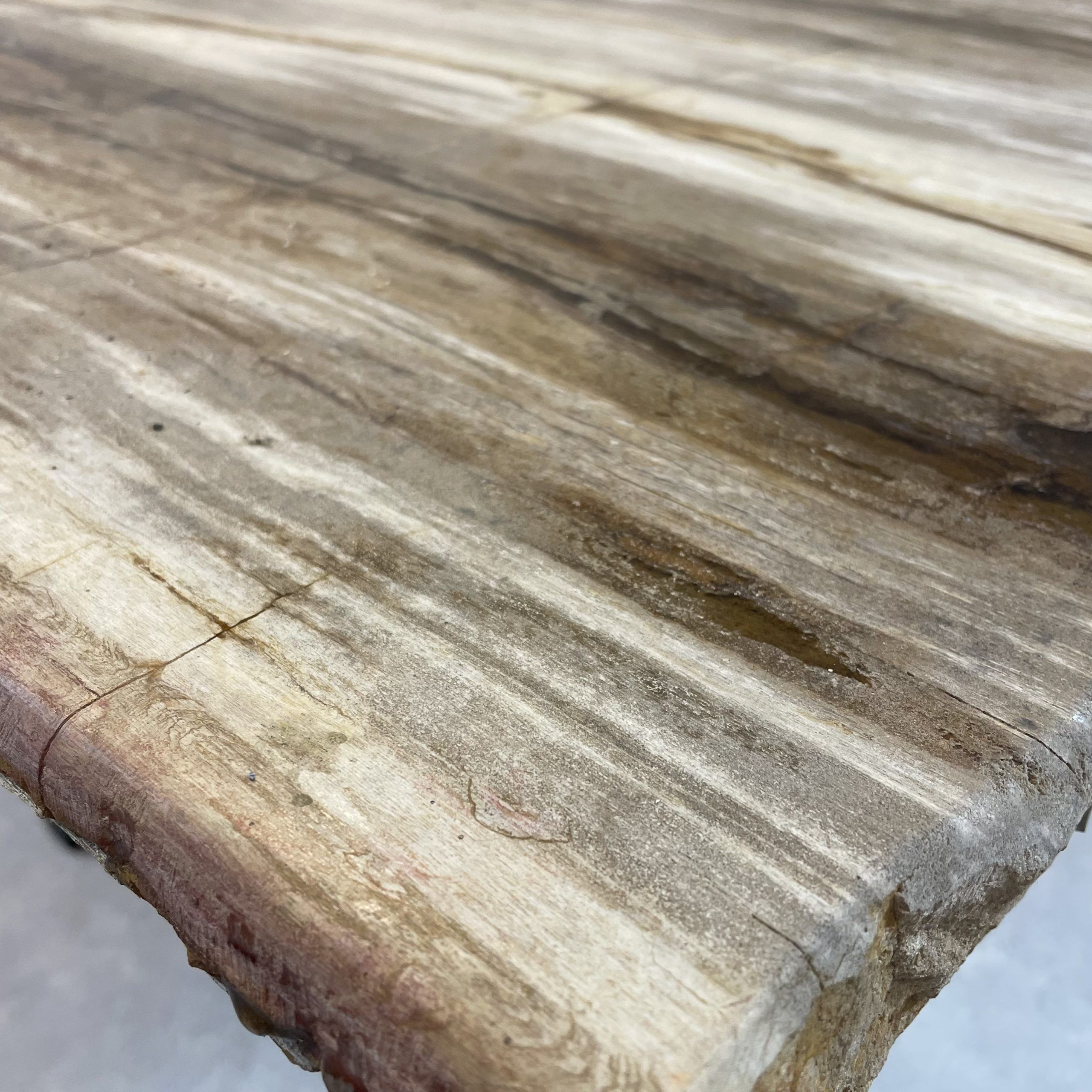 Versteend hout salontafel