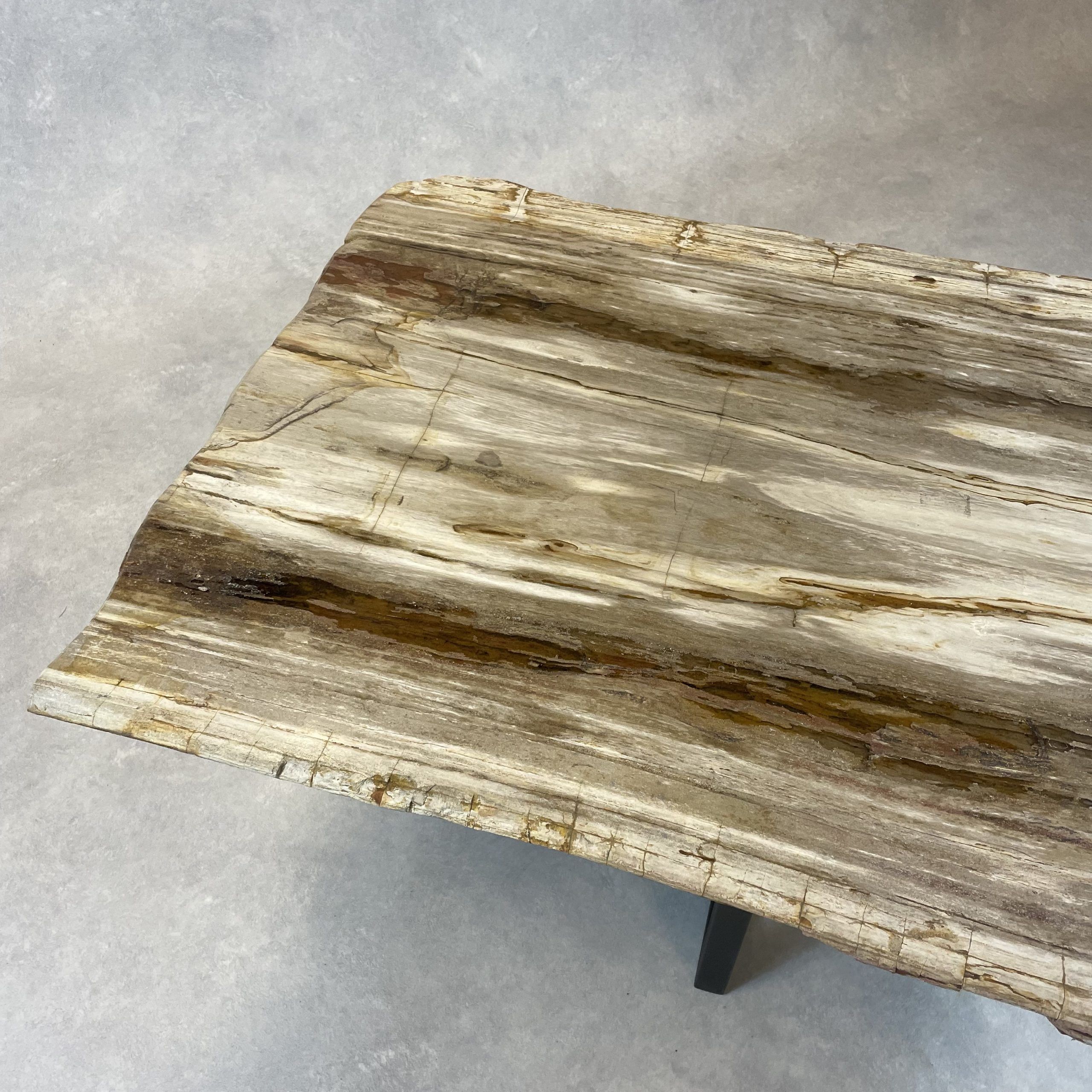 Versteend hout salontafel