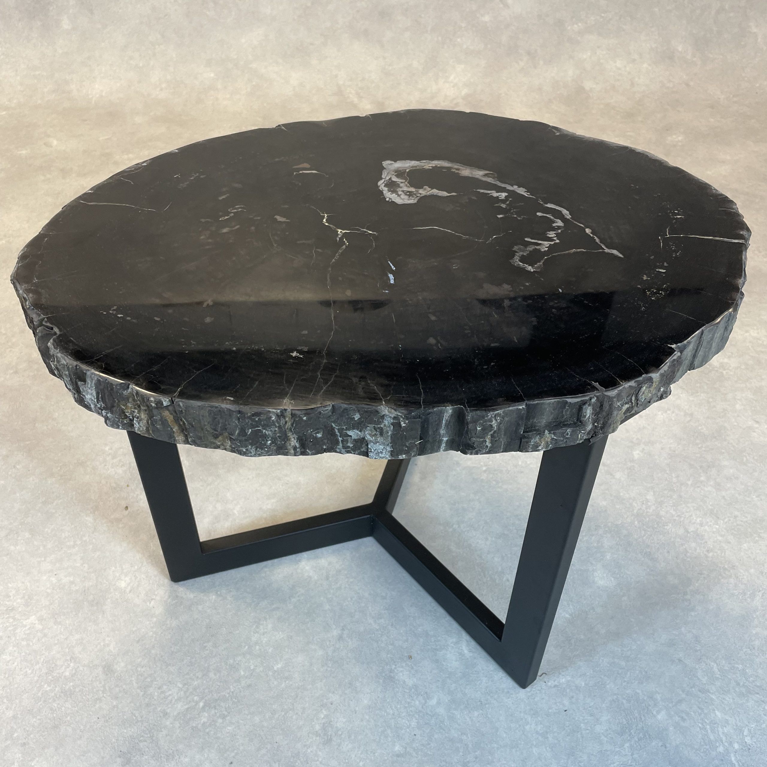 Versteend hout salontafel