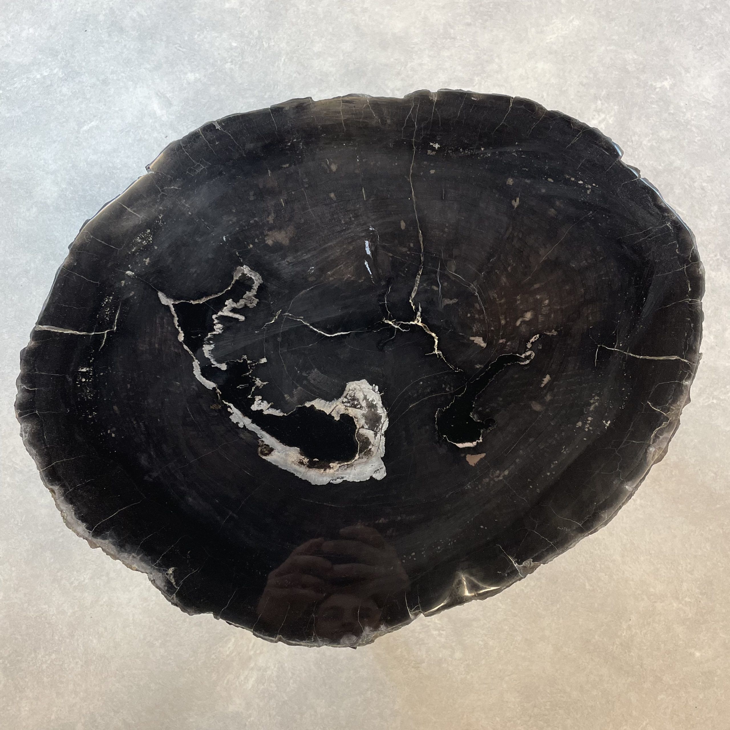 Versteend hout salontafel