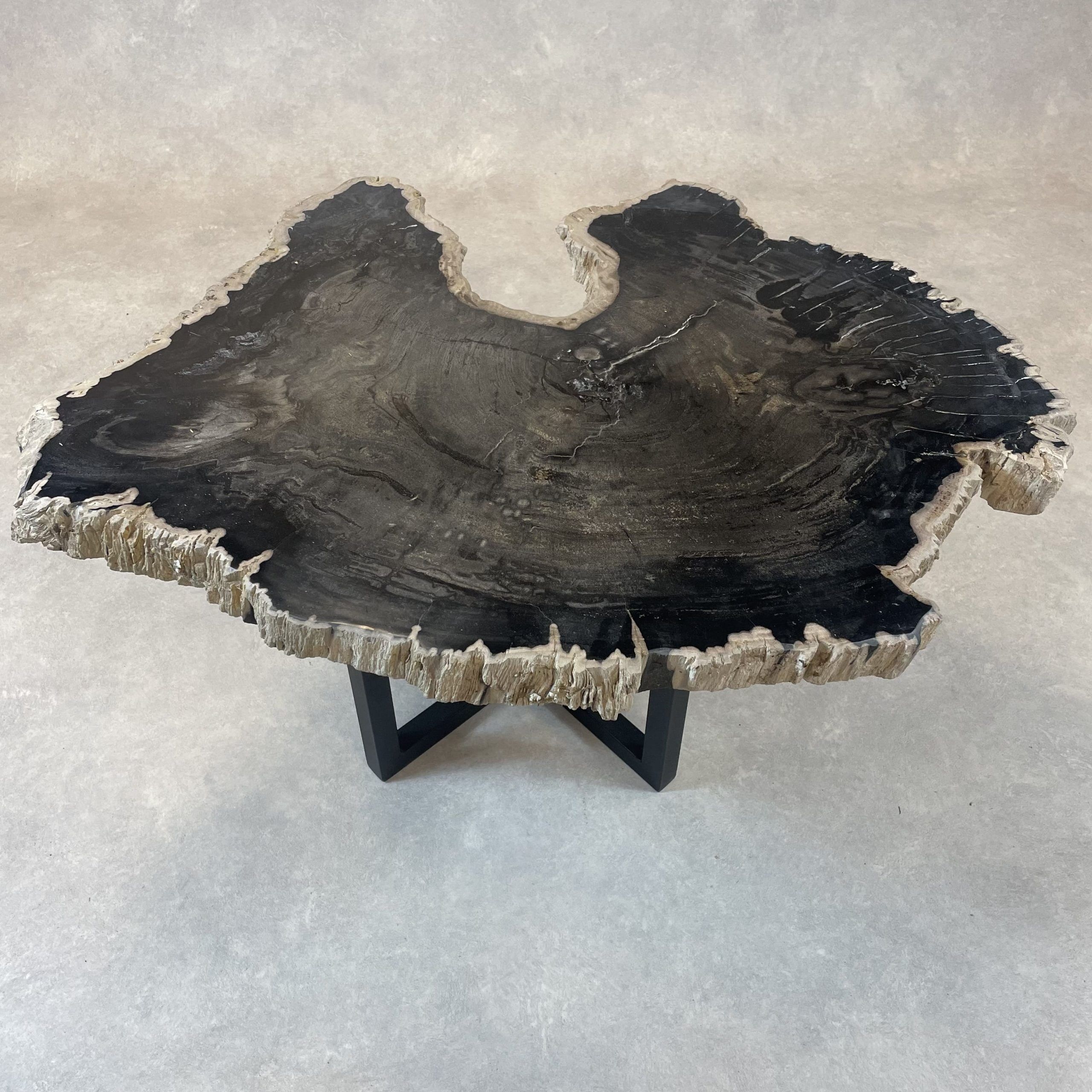 Couchtisch aus versteinertem Holz - Schwarz #366B8