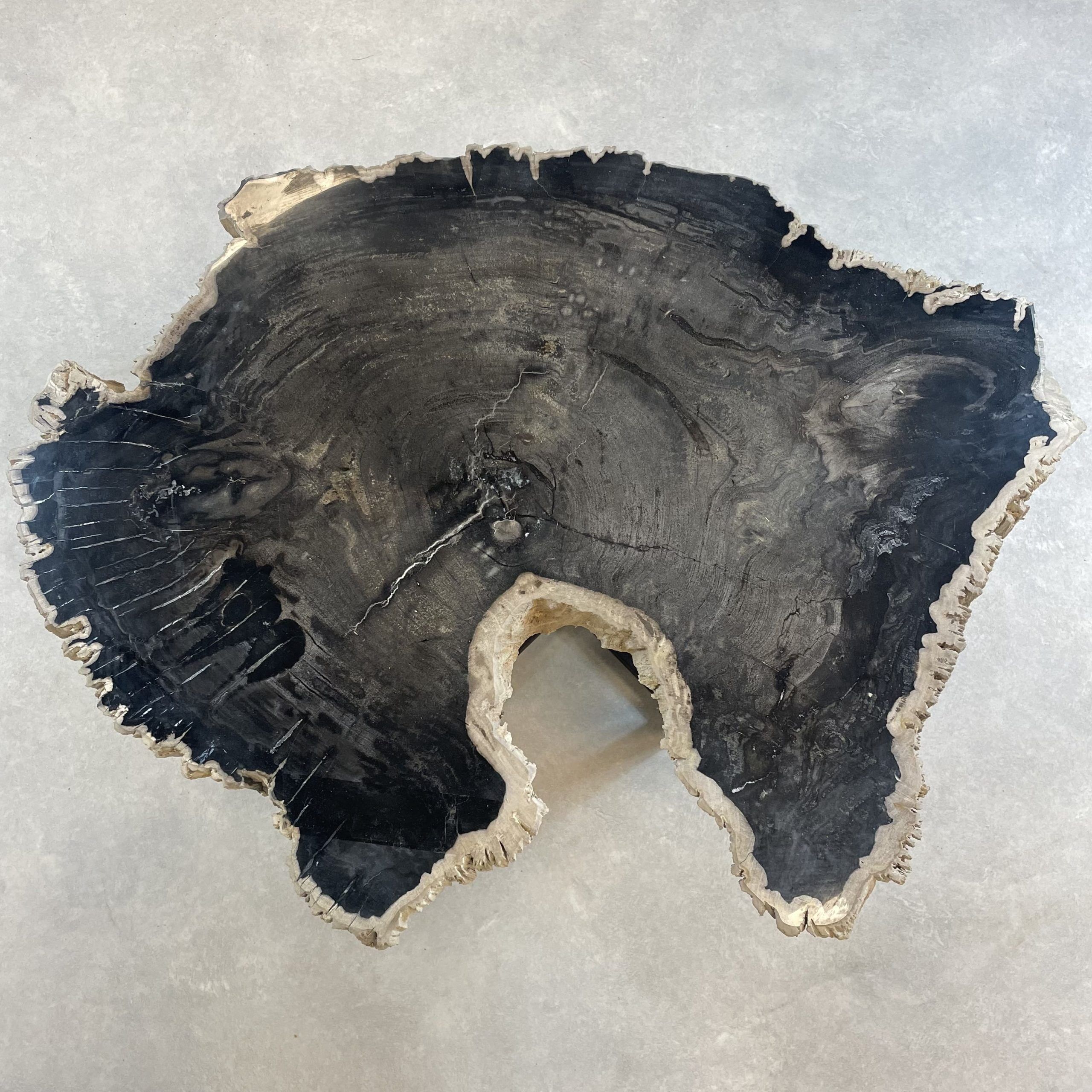 Couchtisch aus versteinertem Holz - Schwarz #366B8 – Bild 2