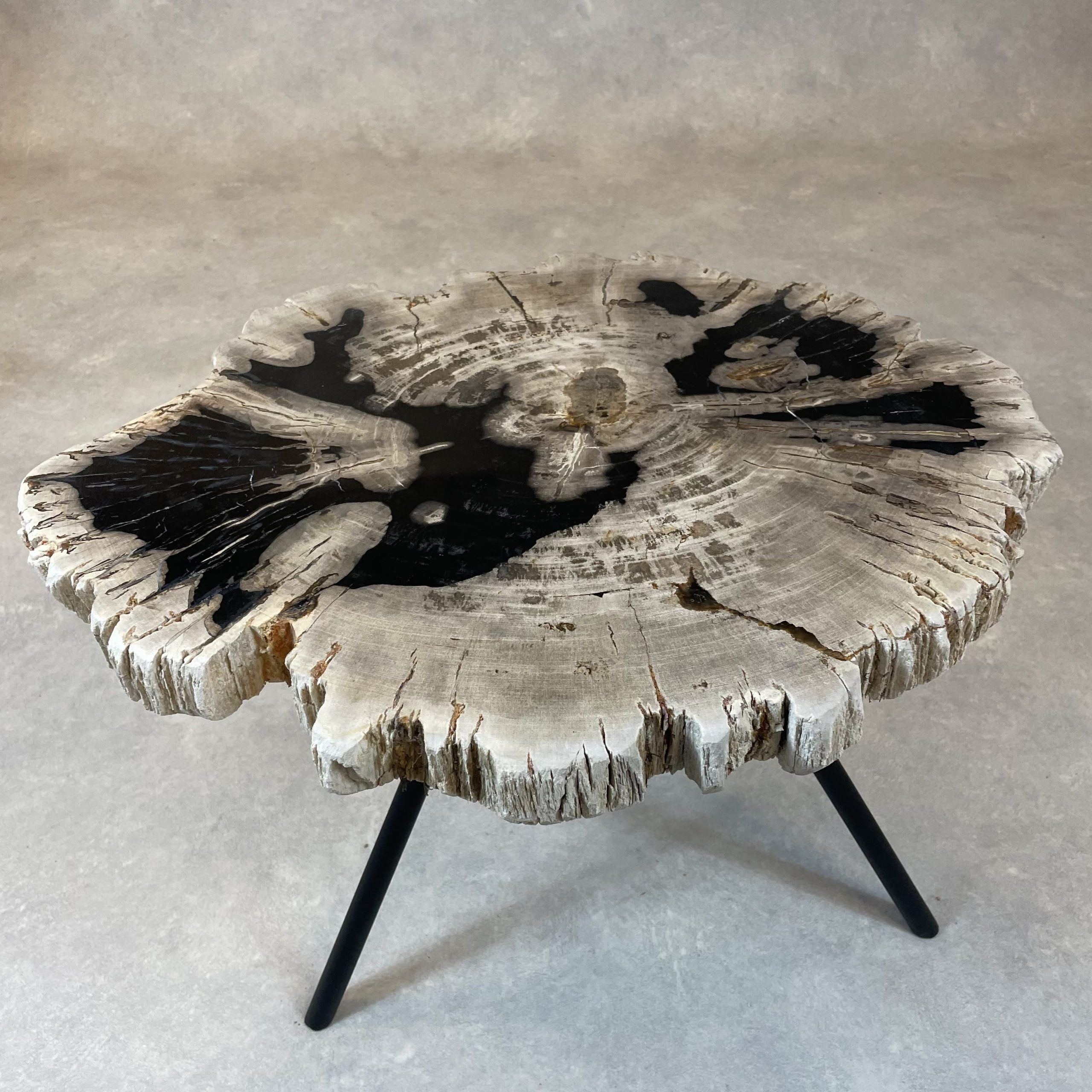 Couchtisch aus versteinertem Holz - Beige #74B5