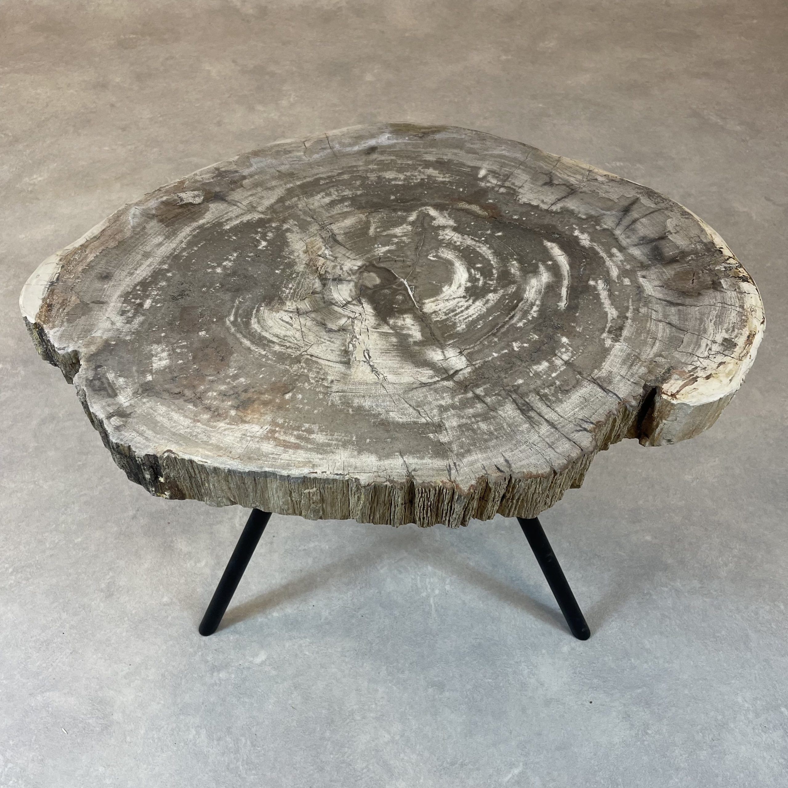 Versteend hout salontafel