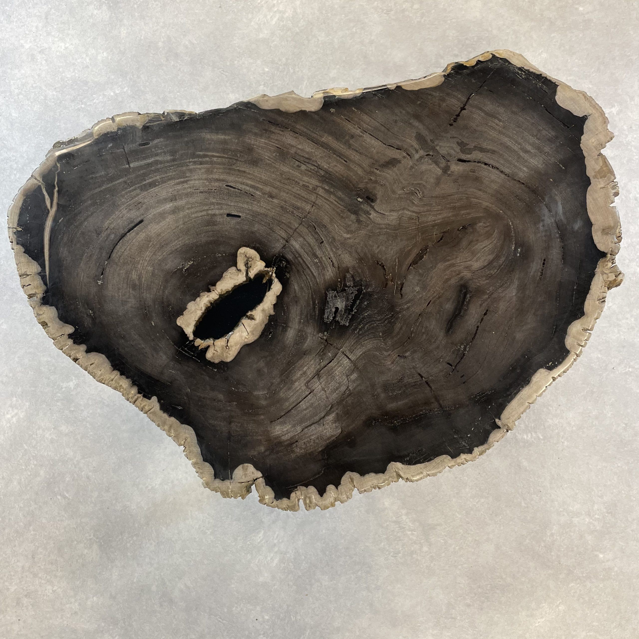 Versteend hout salontafel