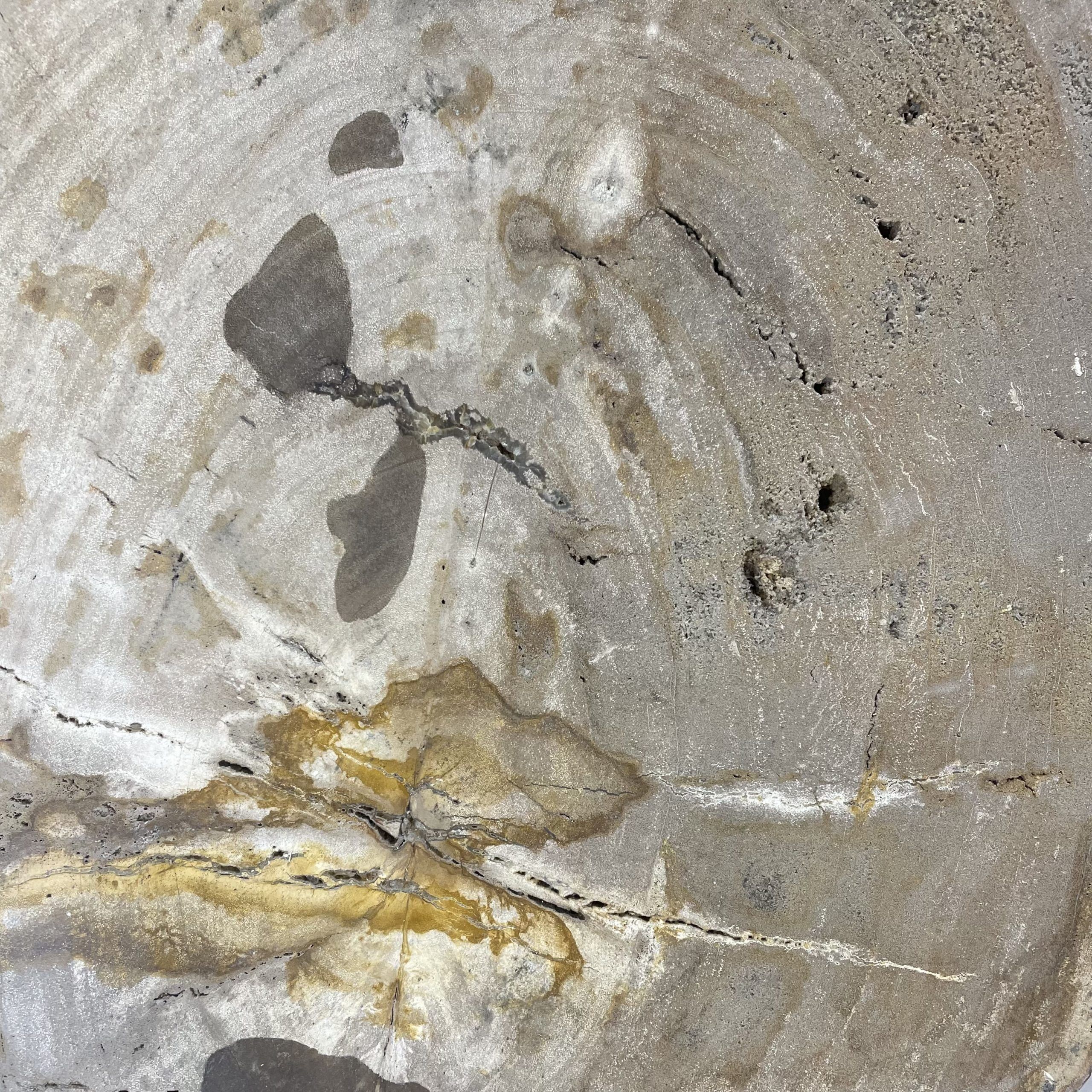 Couchtisch aus versteinertem Holz - Beige #267B20 – Bild 3