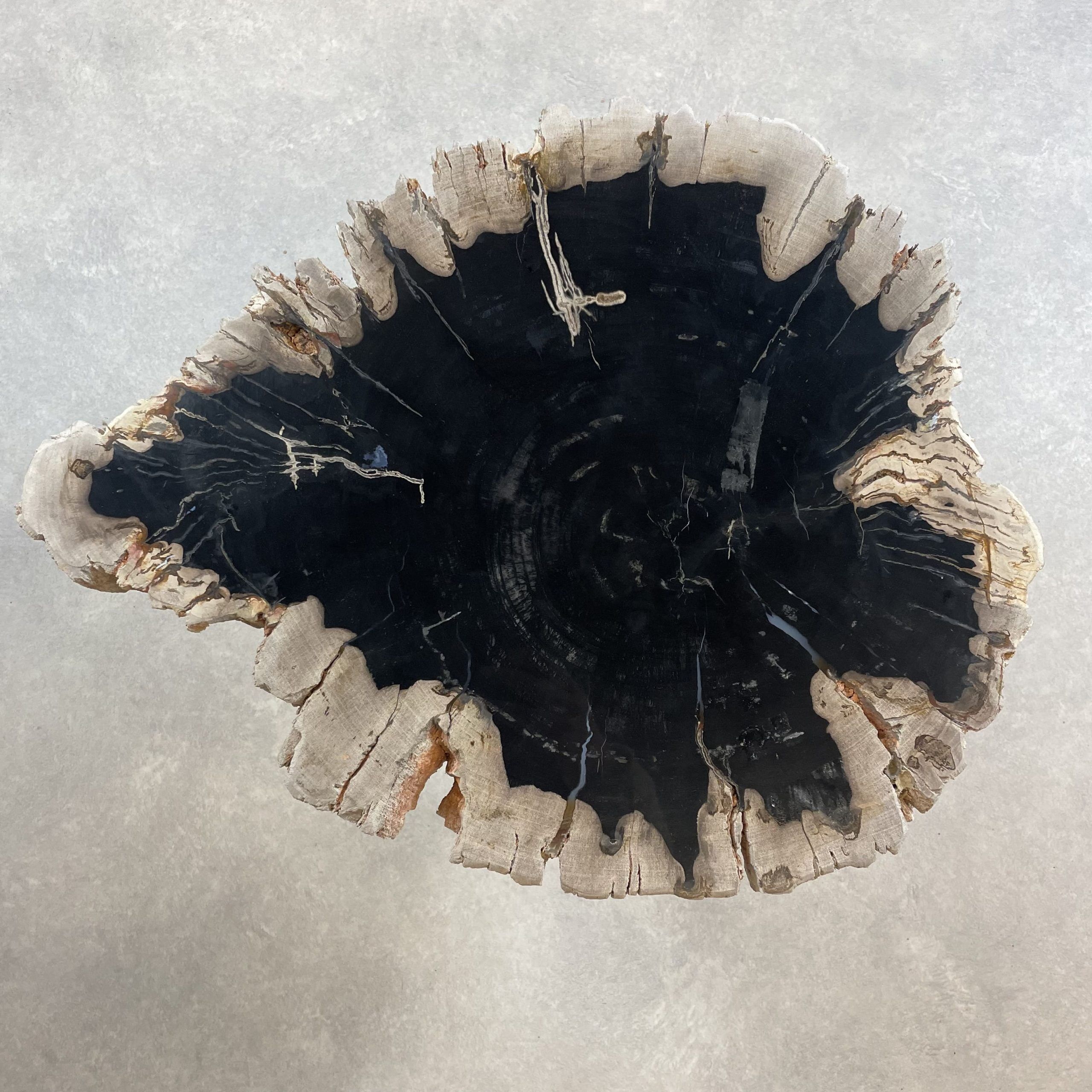 Couchtisch aus versteinertem Holz - Mix #57B5 – Bild 2