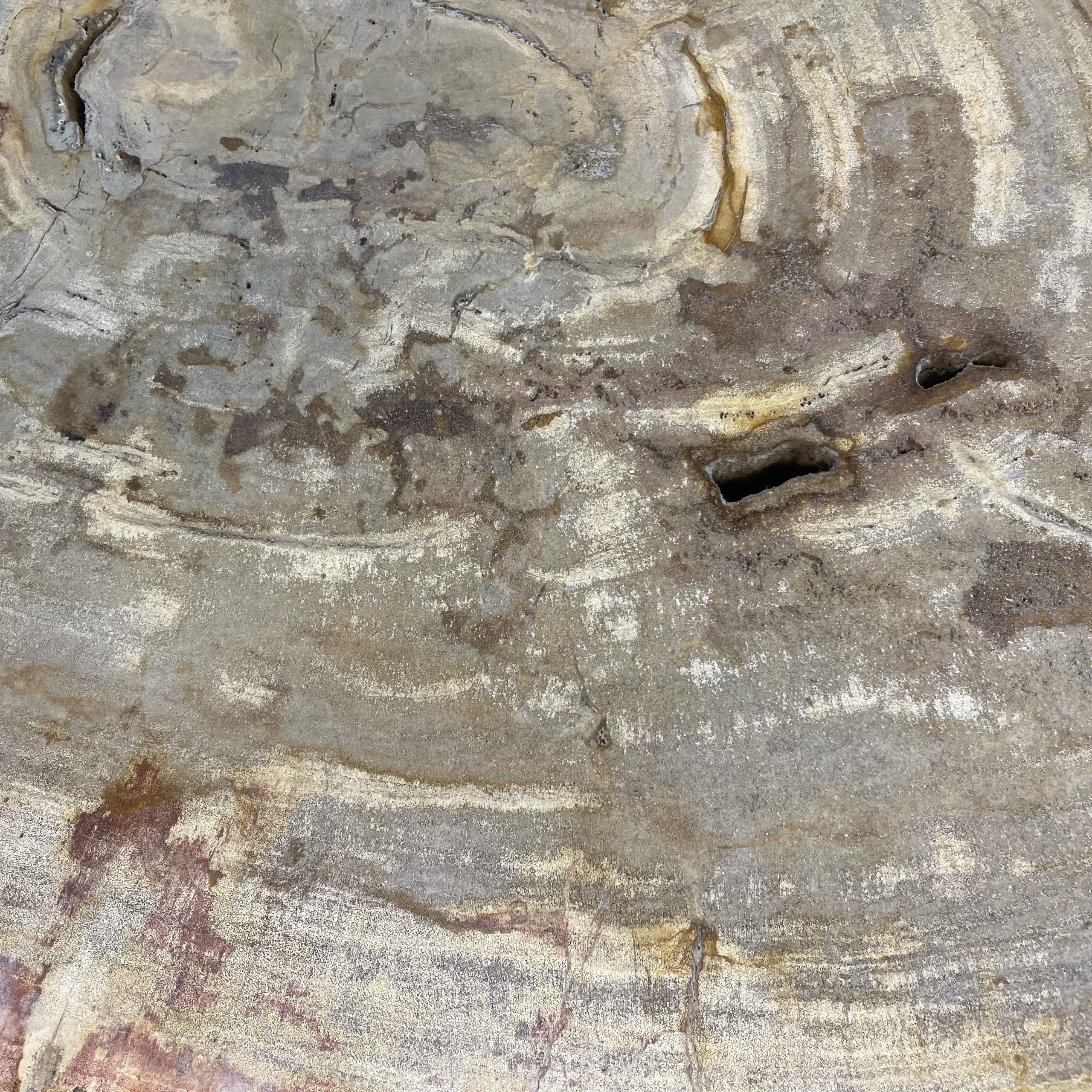 Versteend hout salontafel