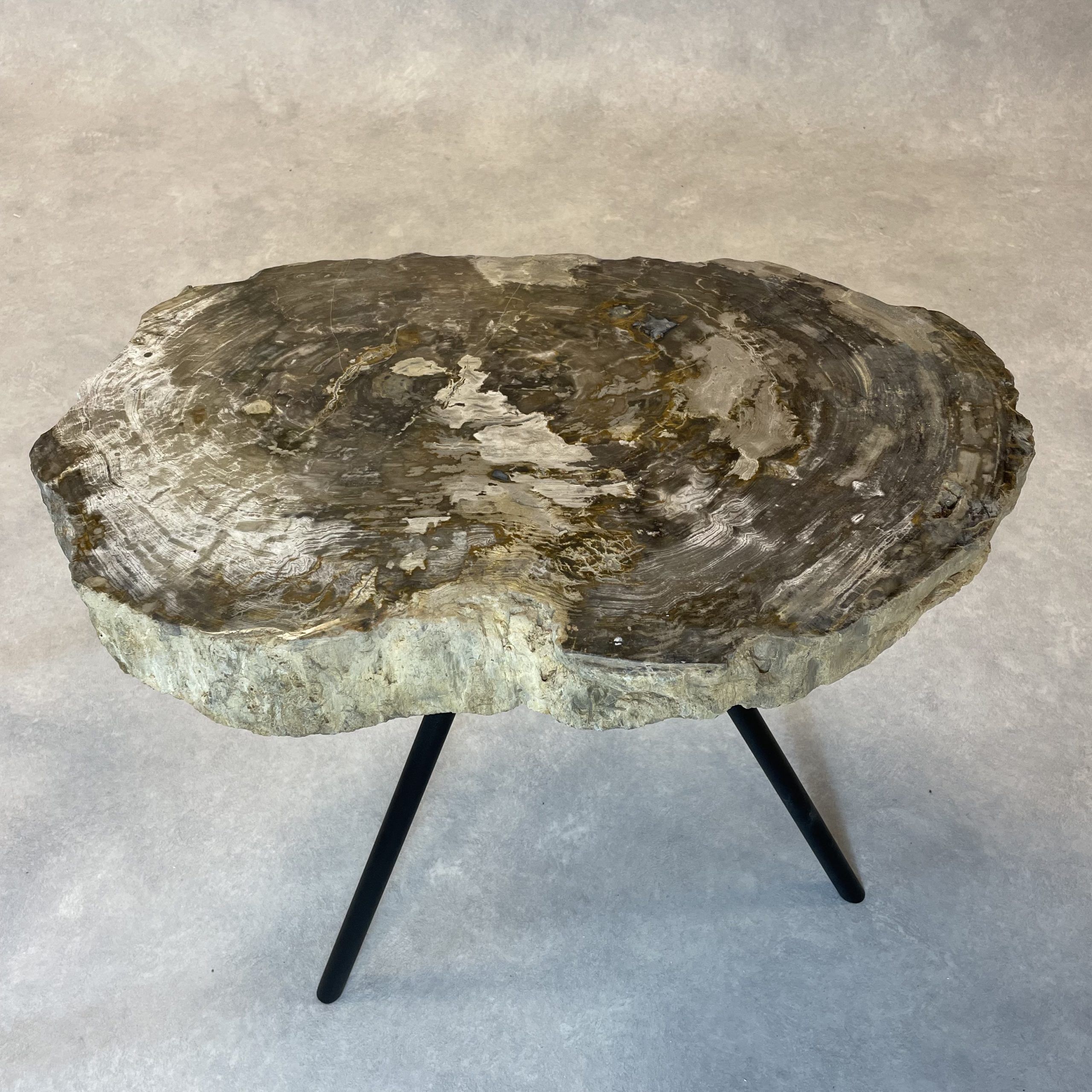 Couchtisch aus versteinertem Holz - Beige #239B7