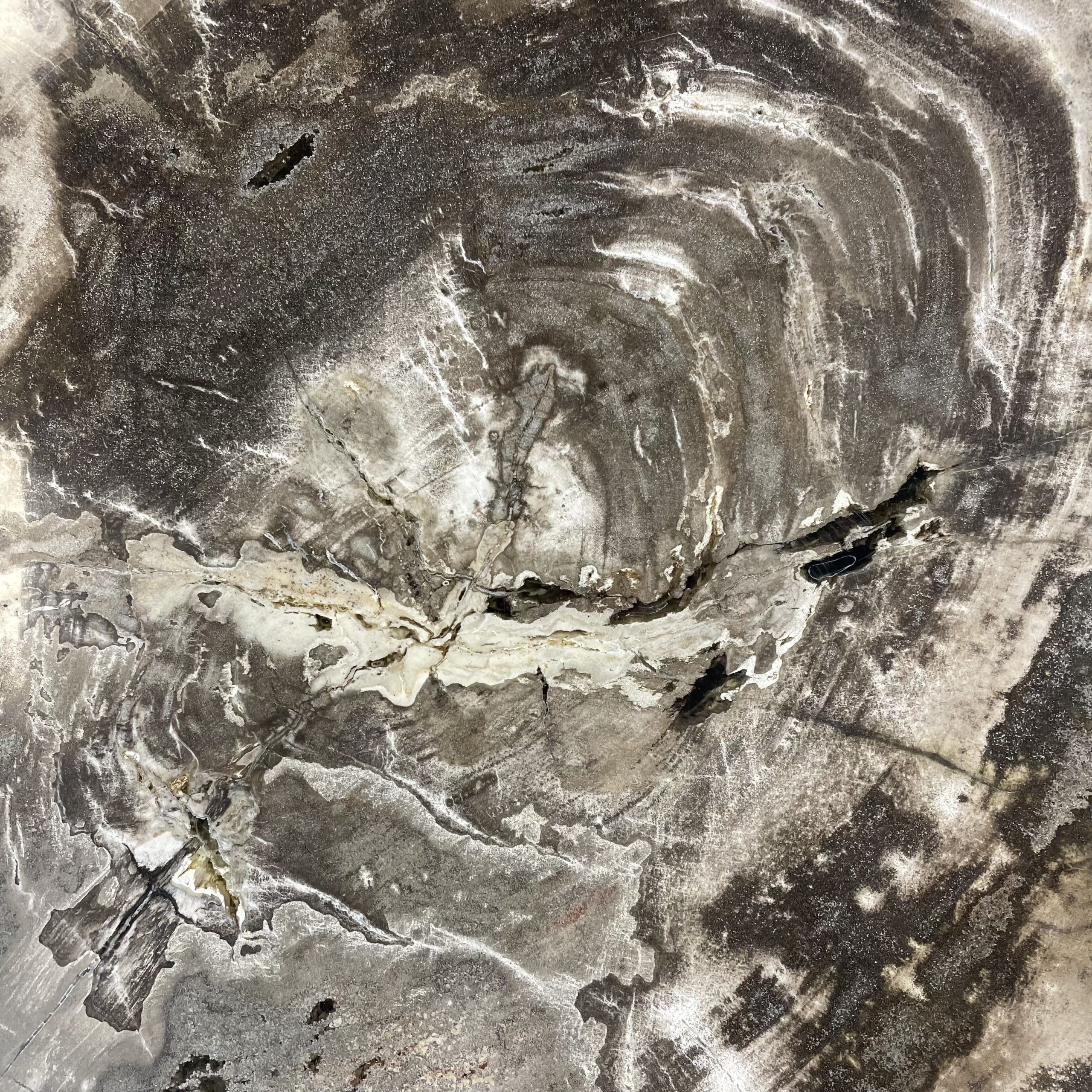 Versteend hout salontafel