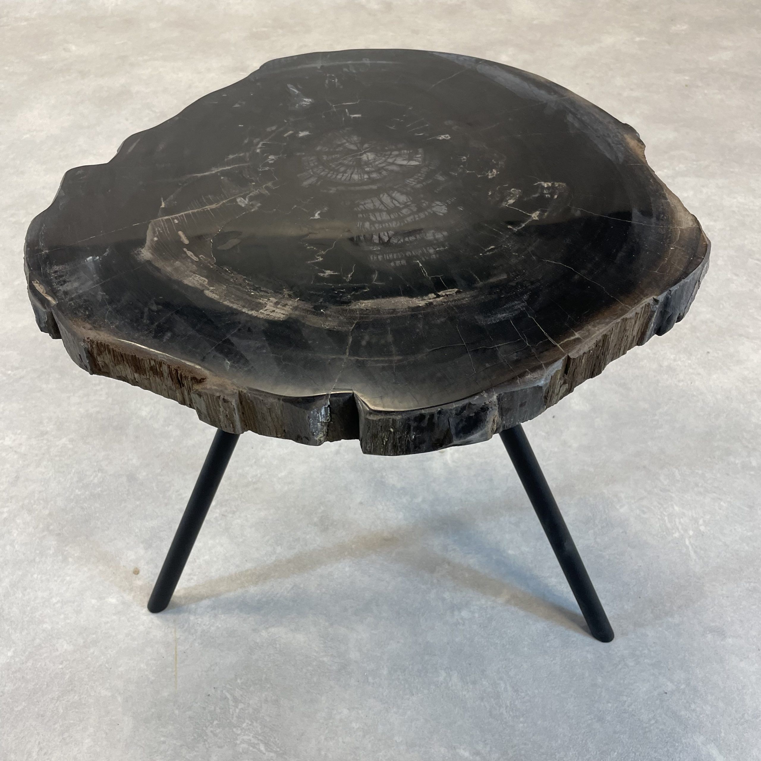 Versteend hout salontafel