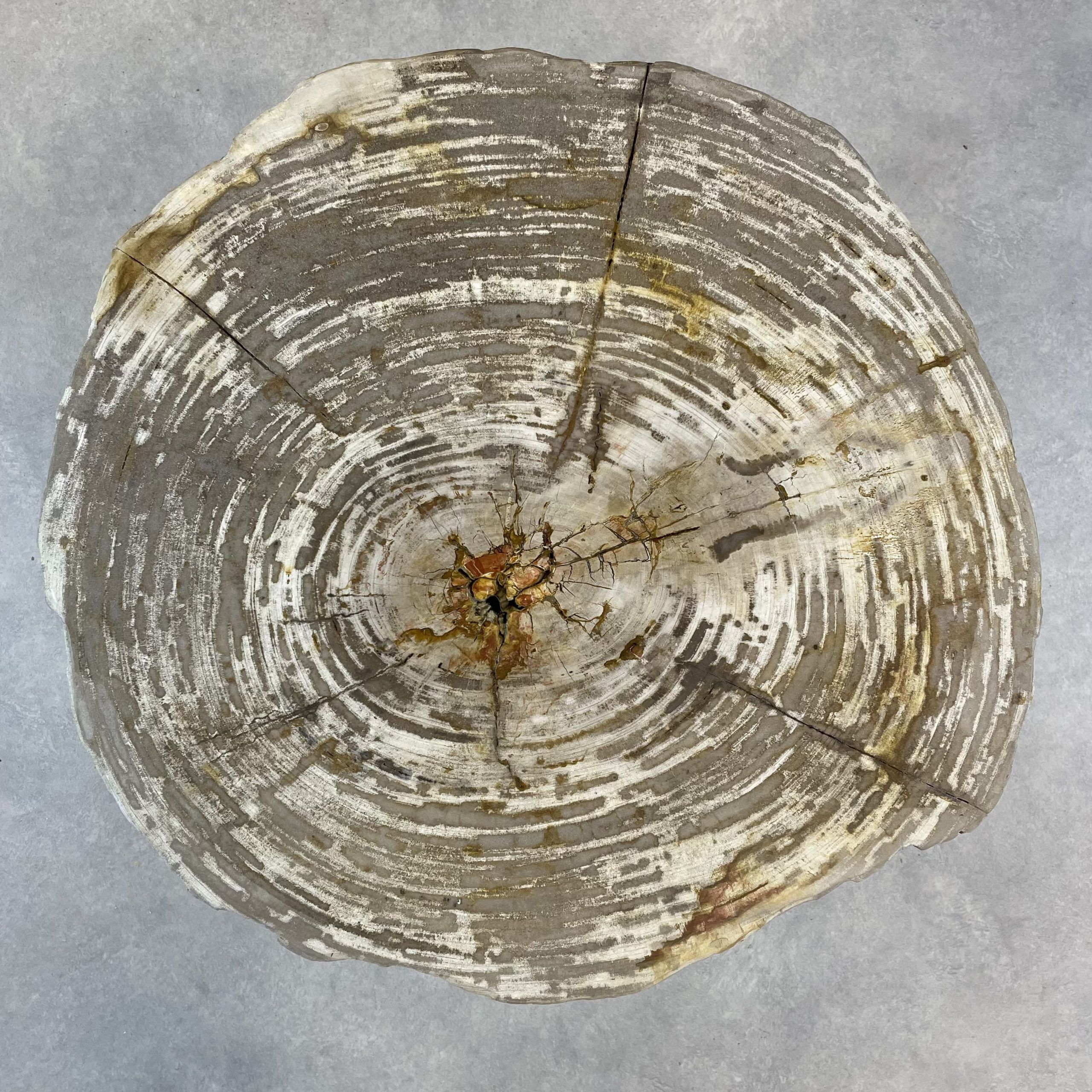 Versteend hout salontafel