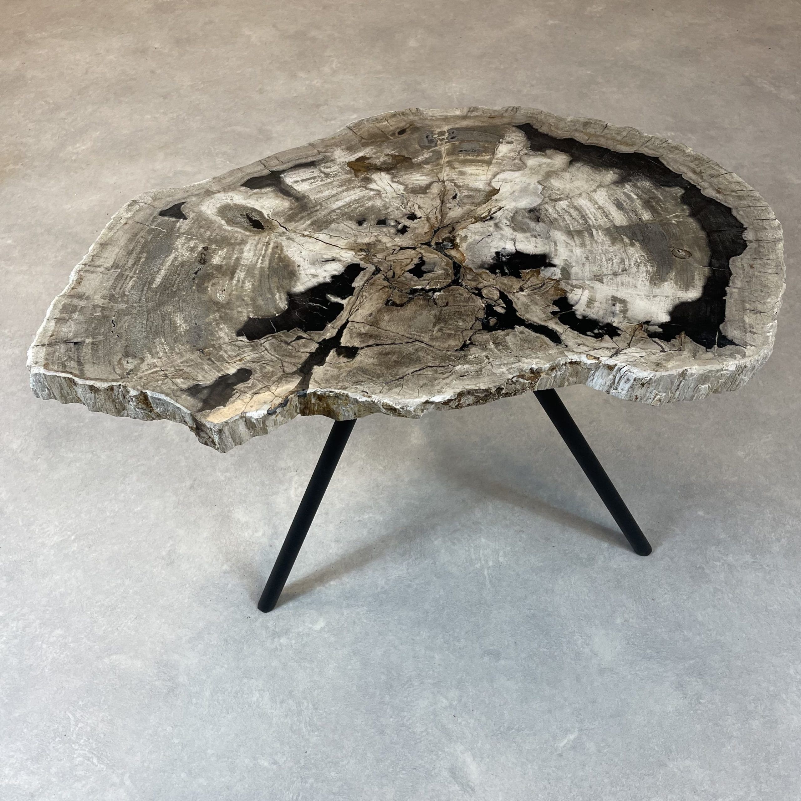 Versteend hout salontafel