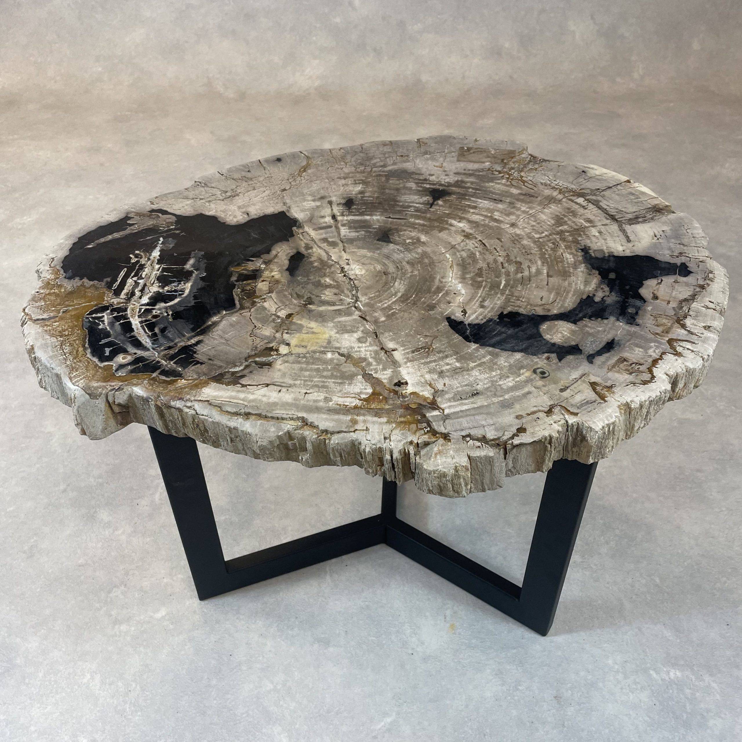 Versteend hout salontafel