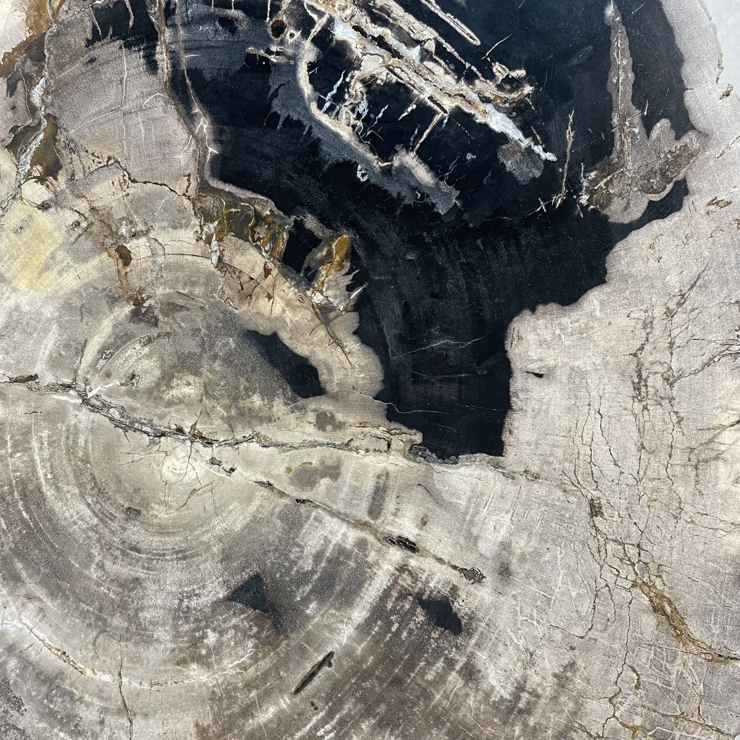 Versteend hout salontafel