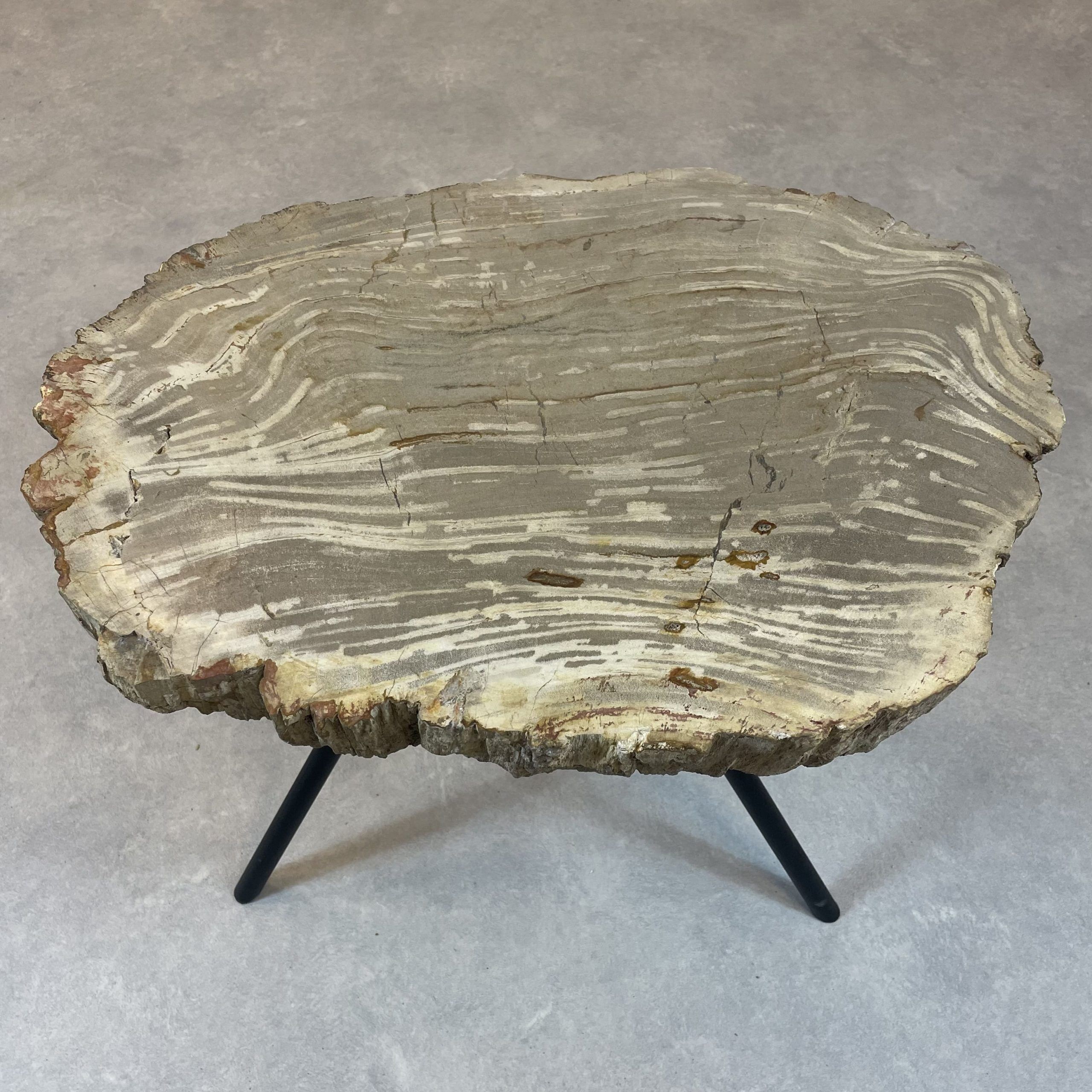 Couchtisch aus versteinertem Holz - Beige #162B1 – Bild 2
