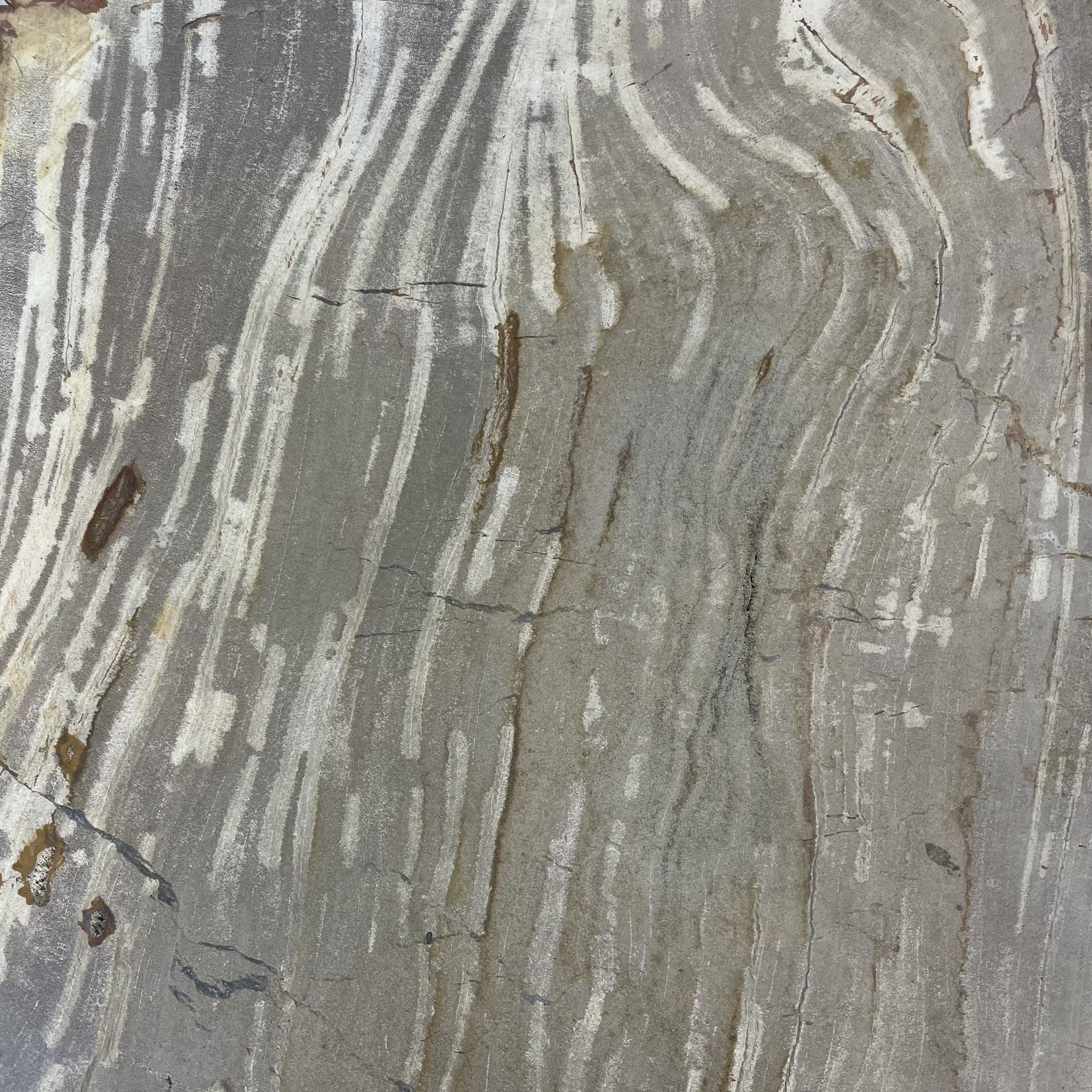 Couchtisch aus versteinertem Holz - Beige #162B1 – Bild 3