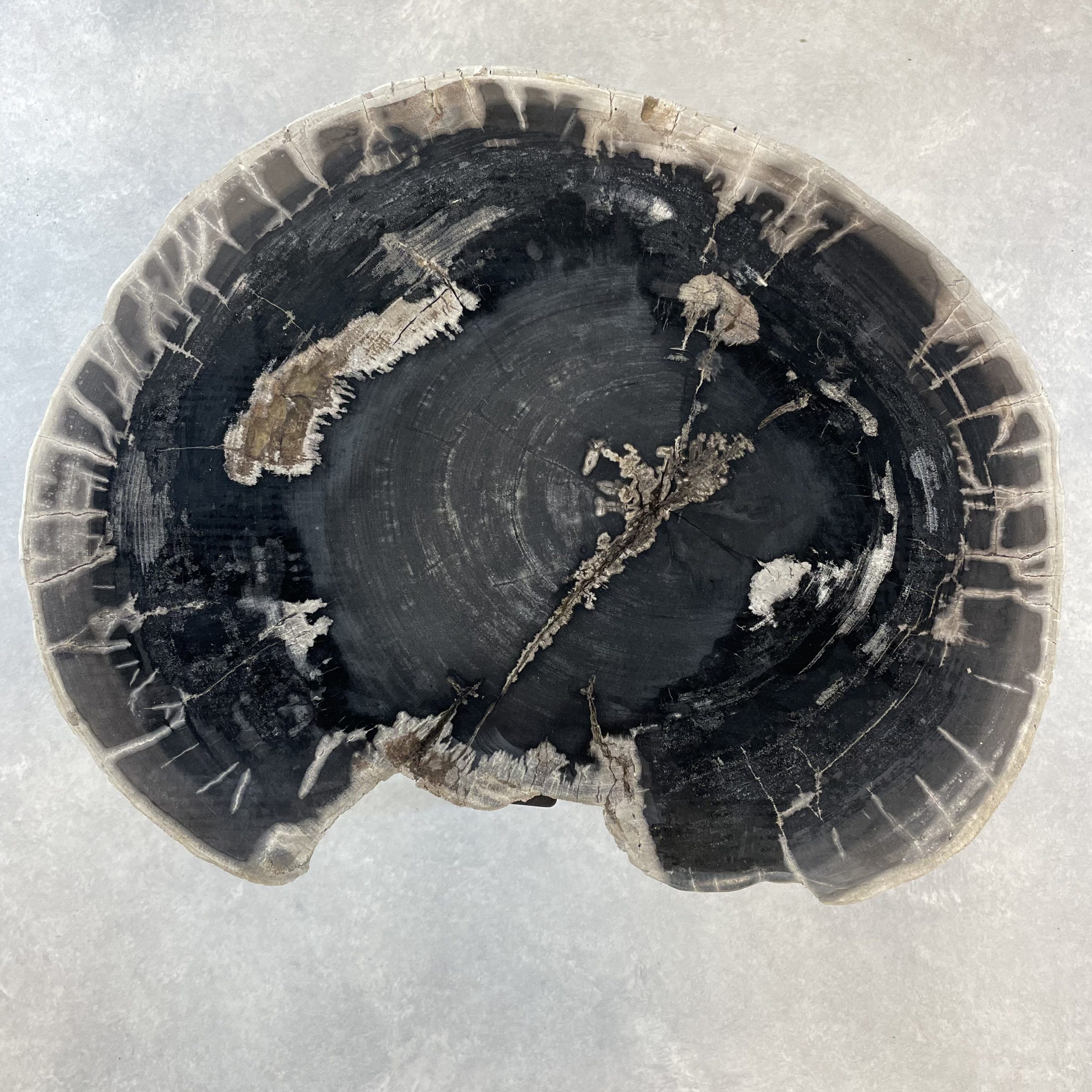 Versteend hout salontafel