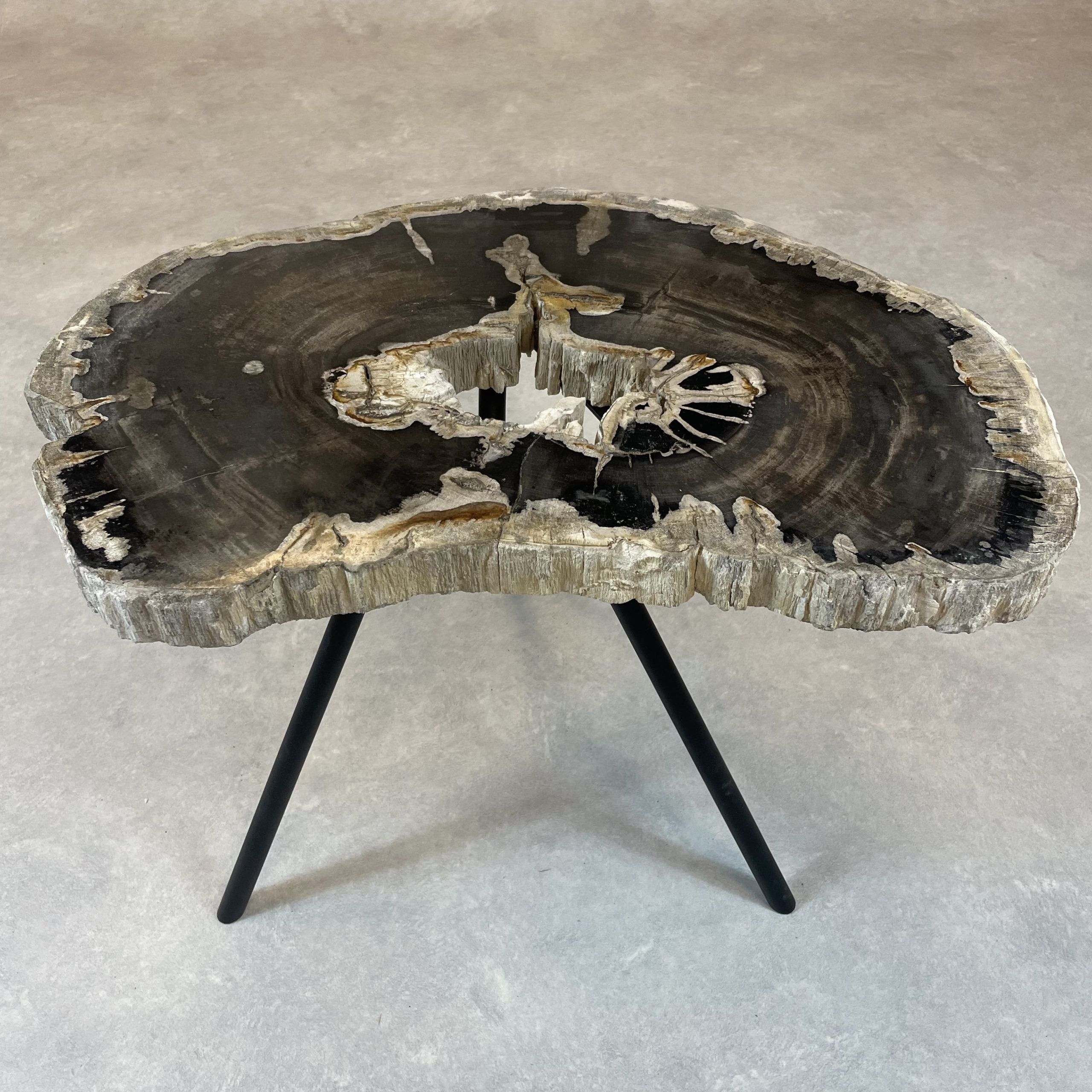 Couchtisch aus versteinertem Holz - Mix #204B9