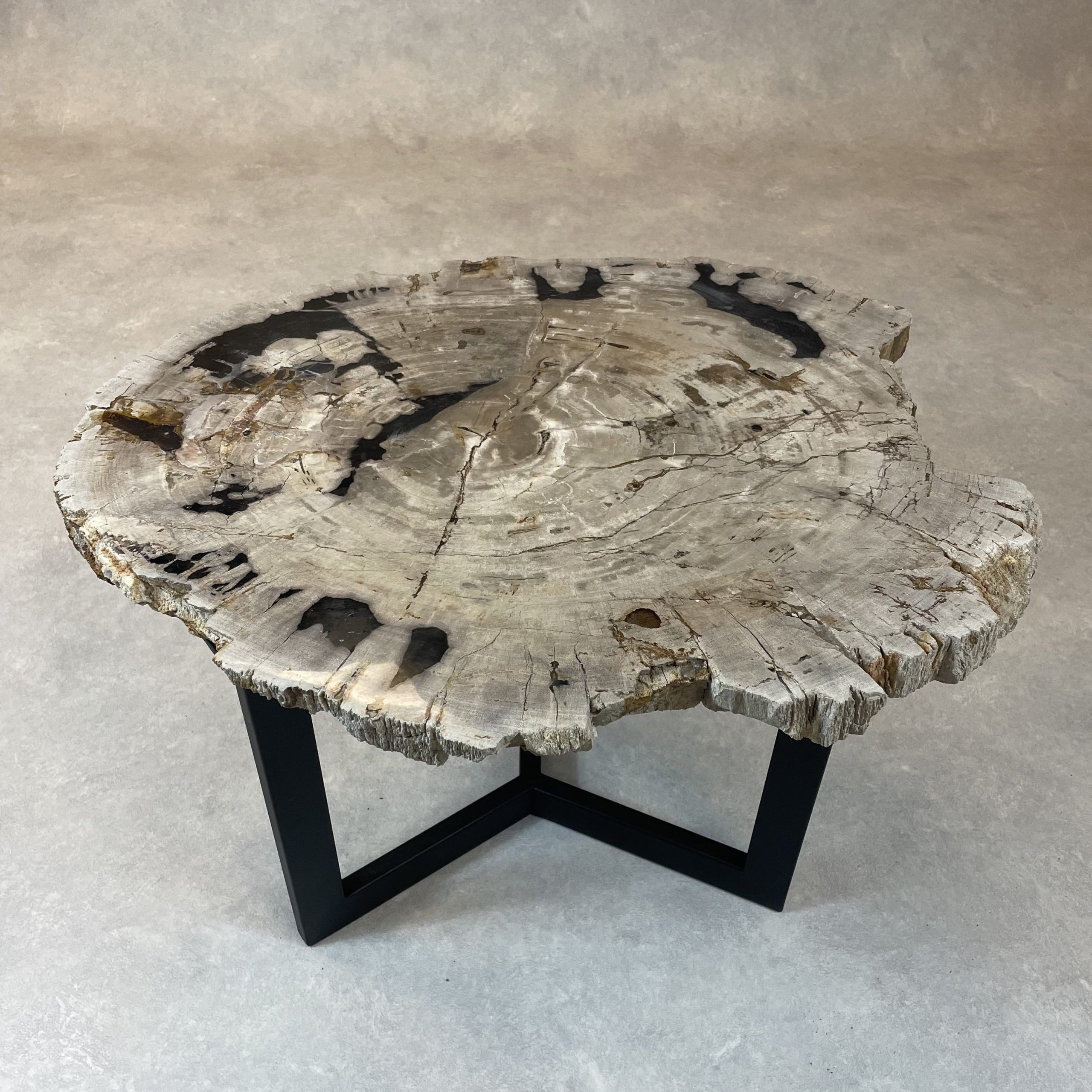 Couchtisch aus versteinertem Holz - Mix #438B9