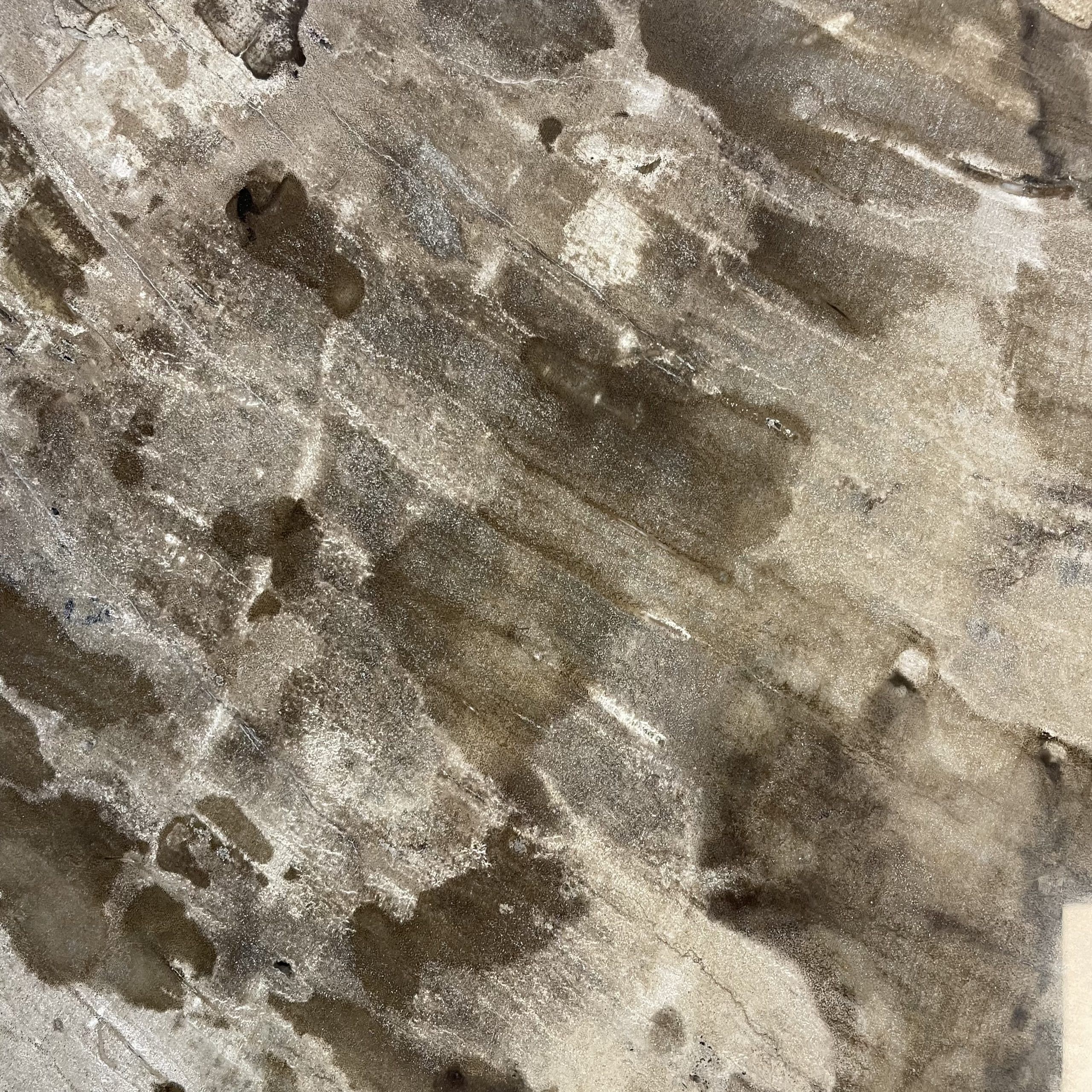 Versteend hout salontafel