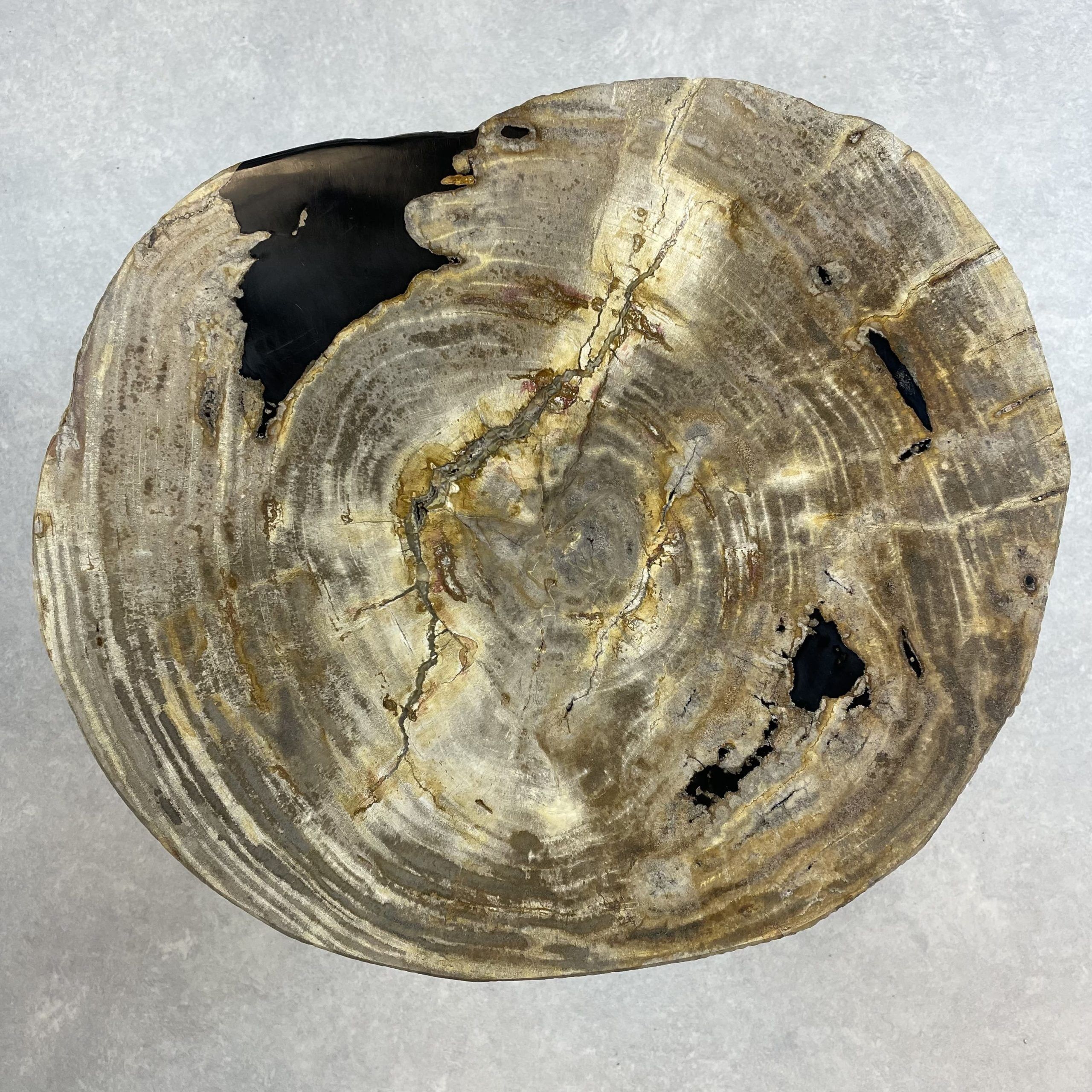 Couchtisch aus versteinertem Holz - Beige #389B10 – Bild 2