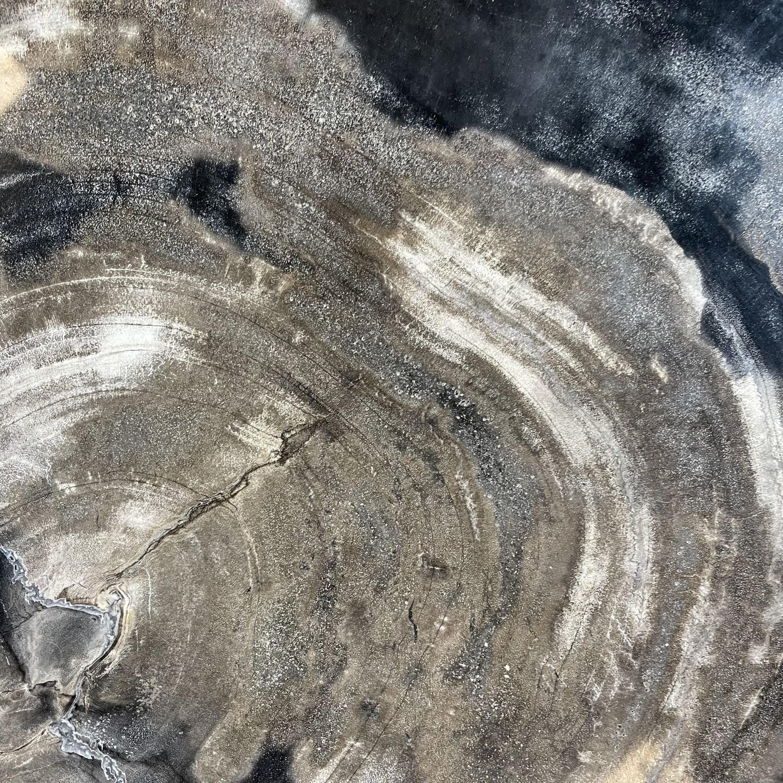 Couchtisch aus versteinertem Holz