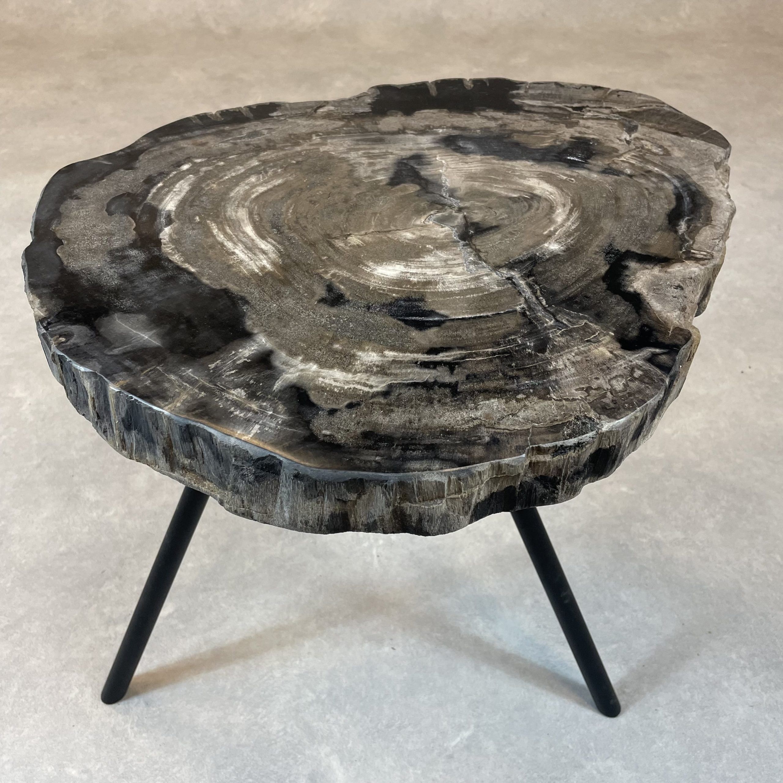 Couchtisch aus versteinertem Holz