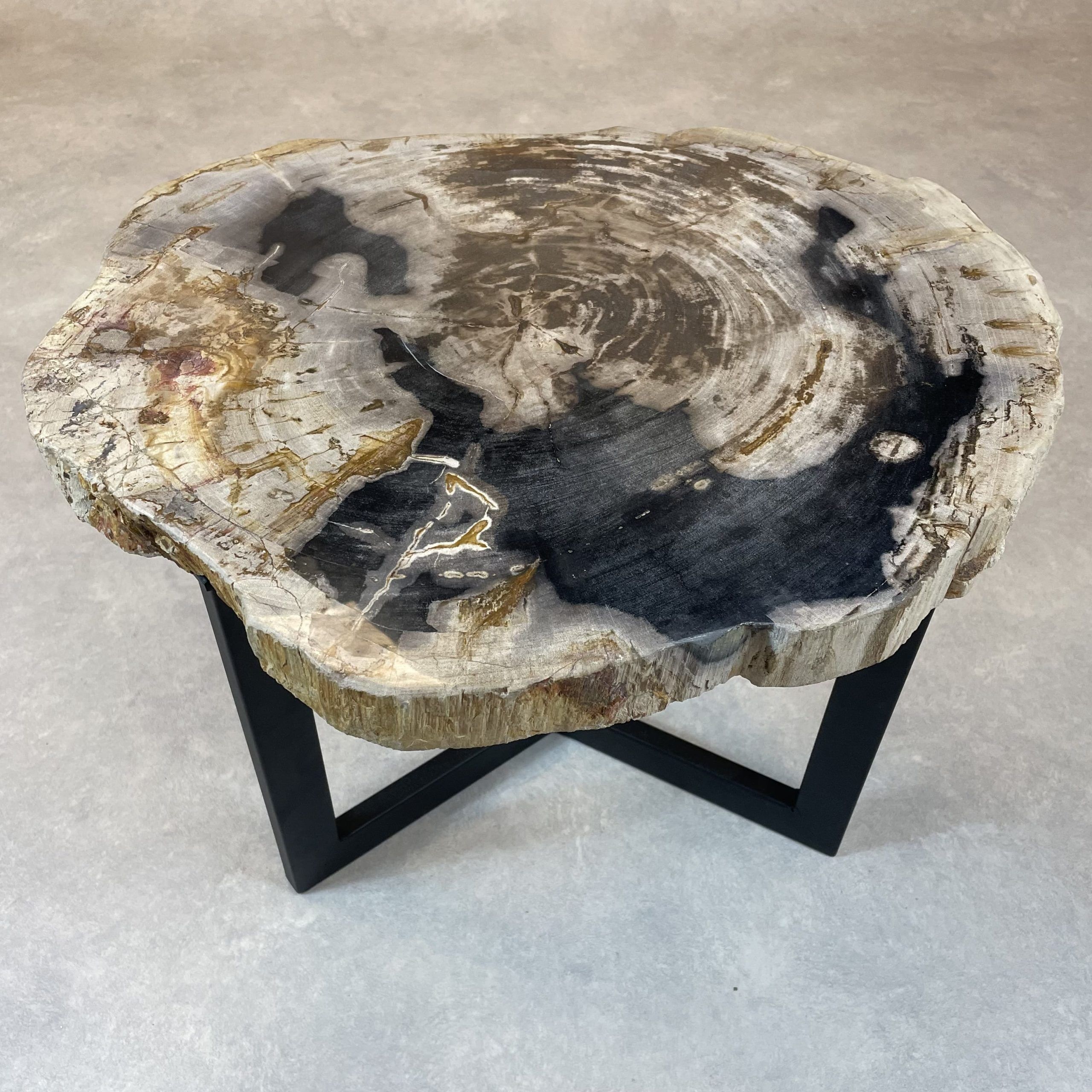 Couchtisch aus versteinertem Holz