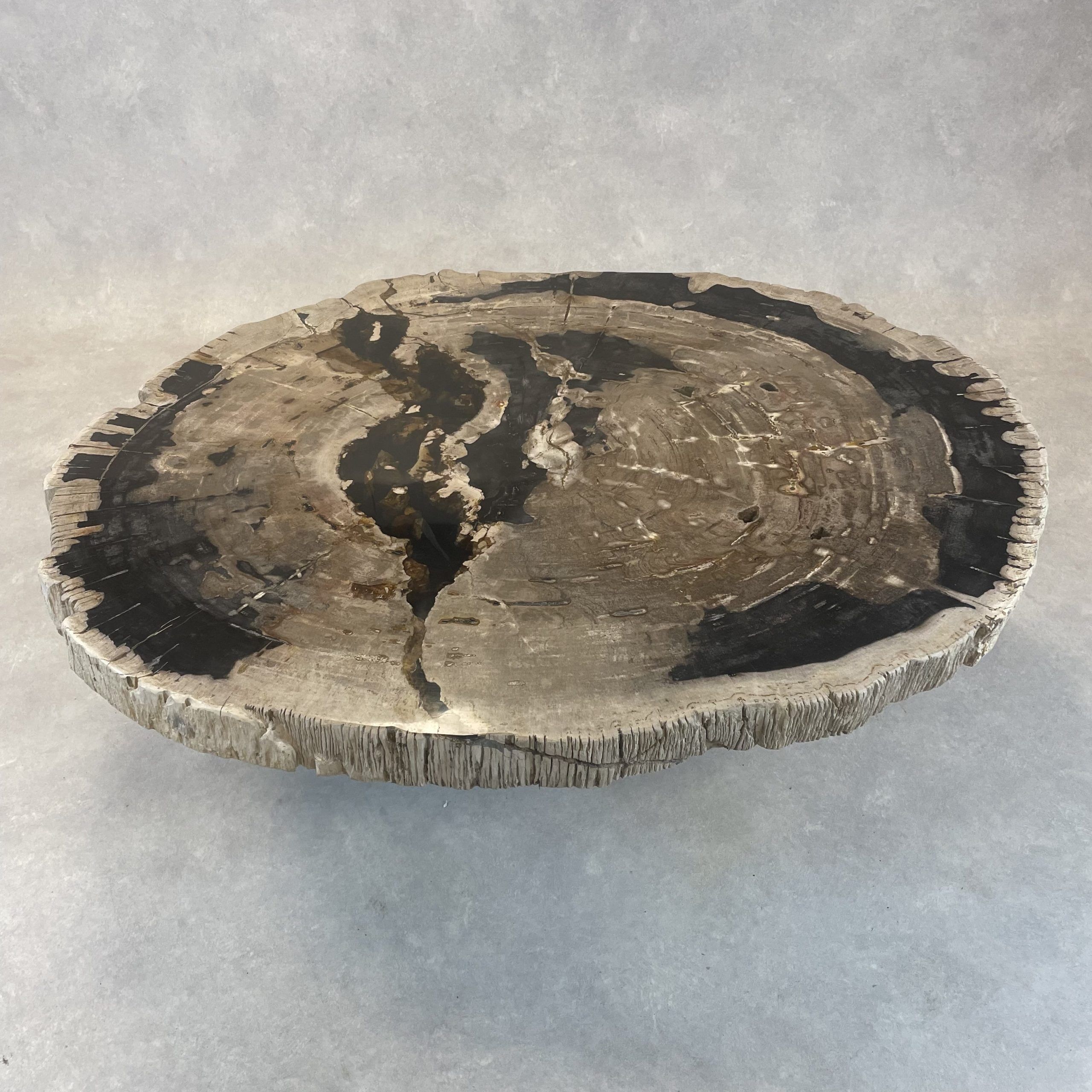 Versteend hout salontafel