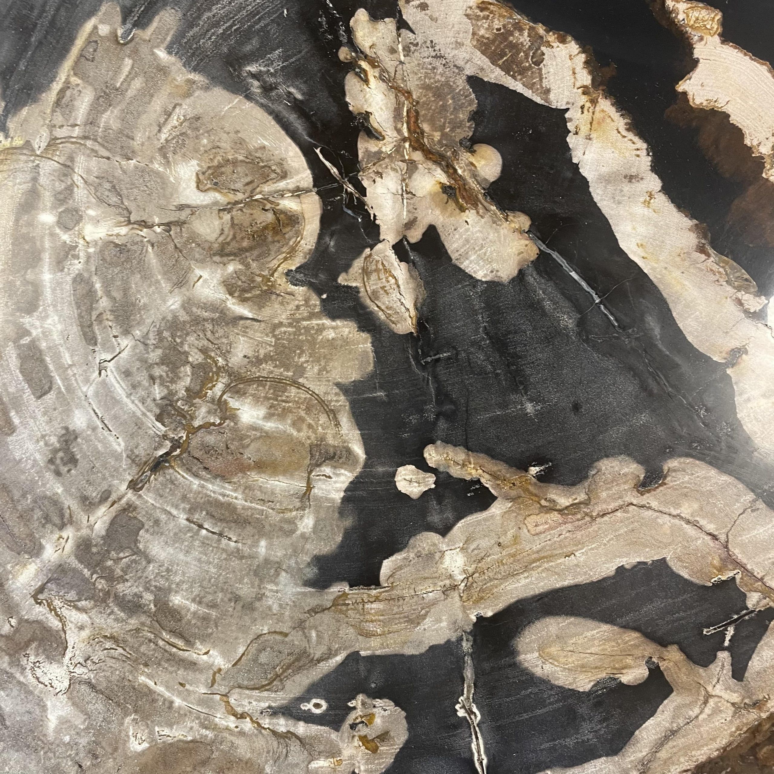 Versteend hout salontafel