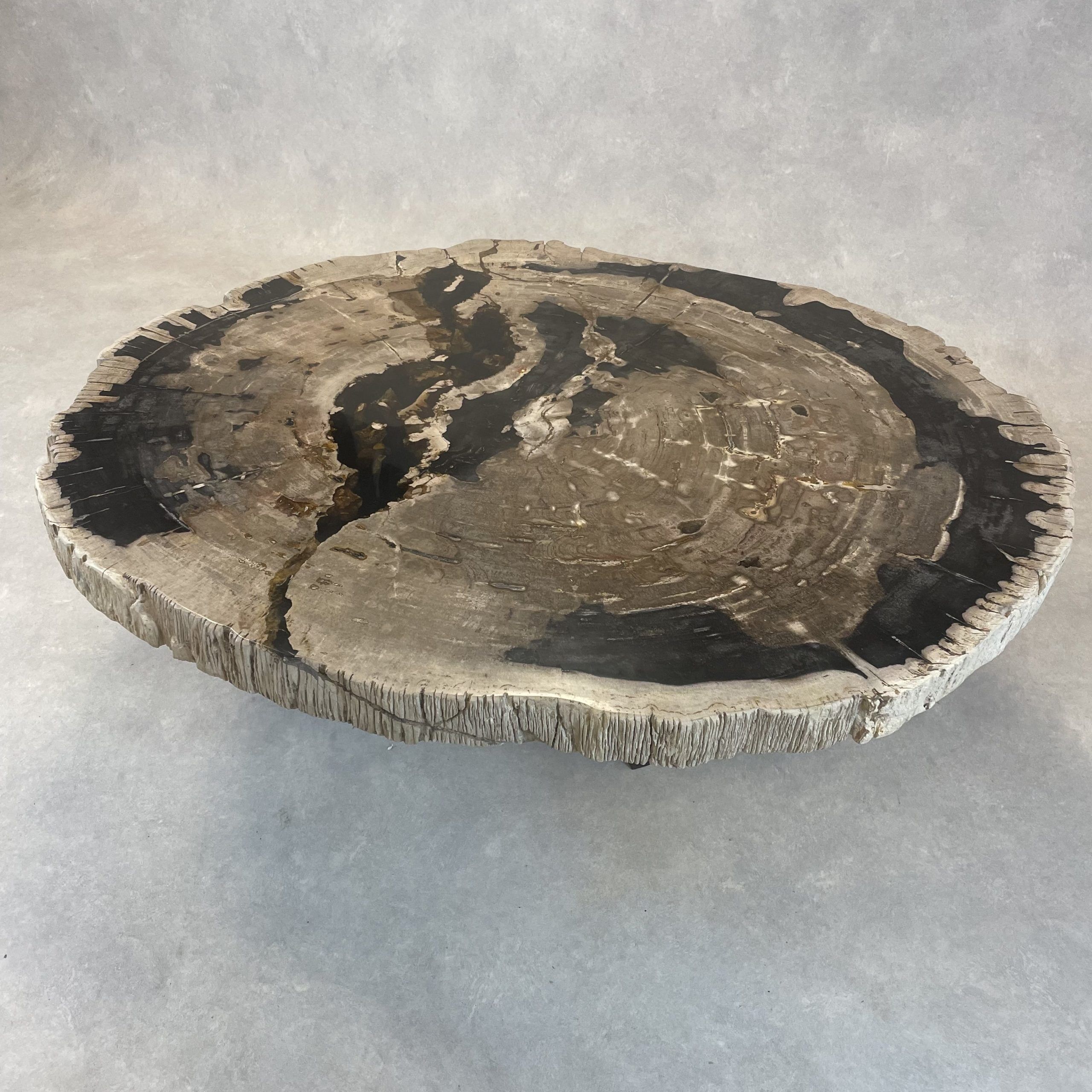 Versteend hout salontafel