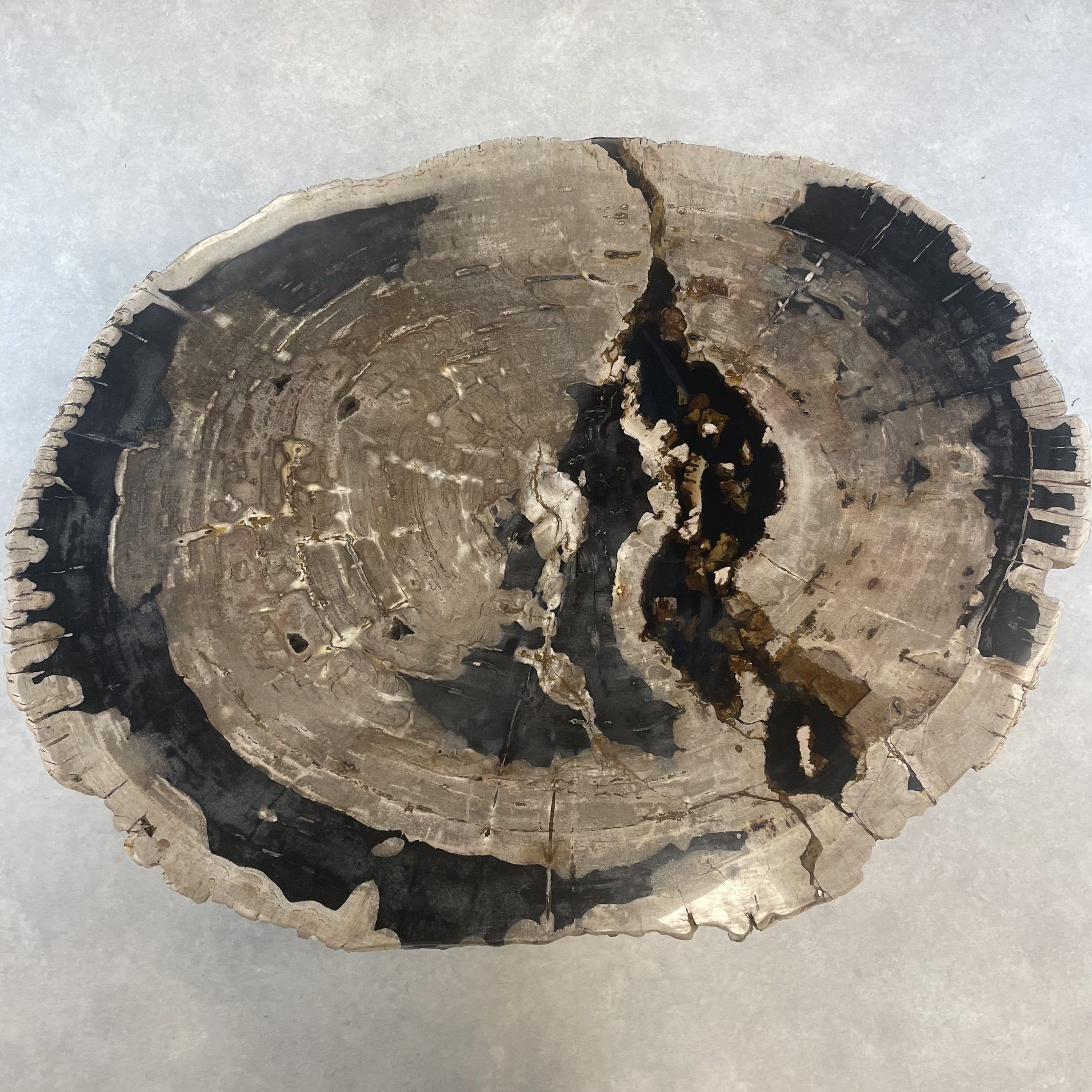 Versteend hout salontafel