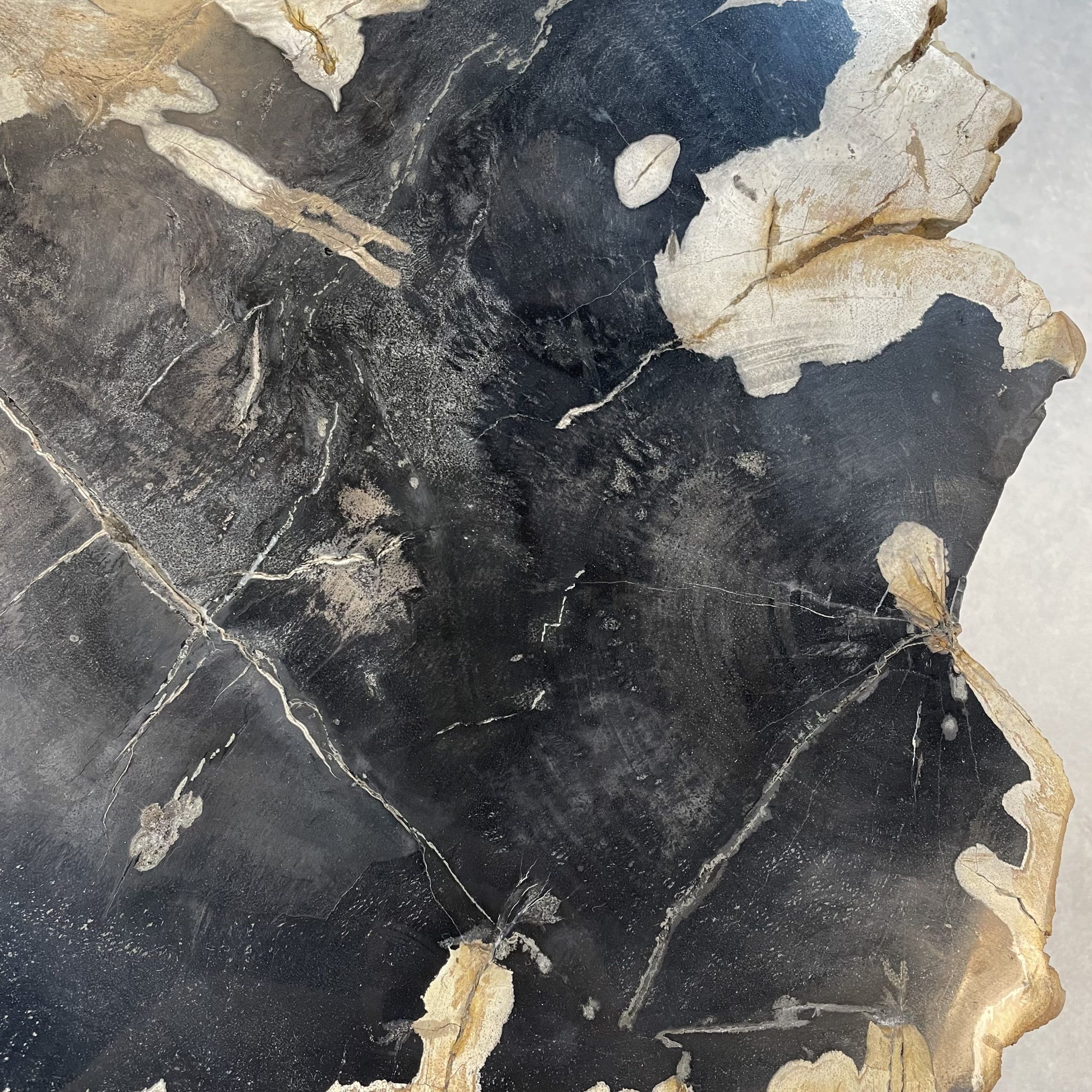 Versteend hout salontafel