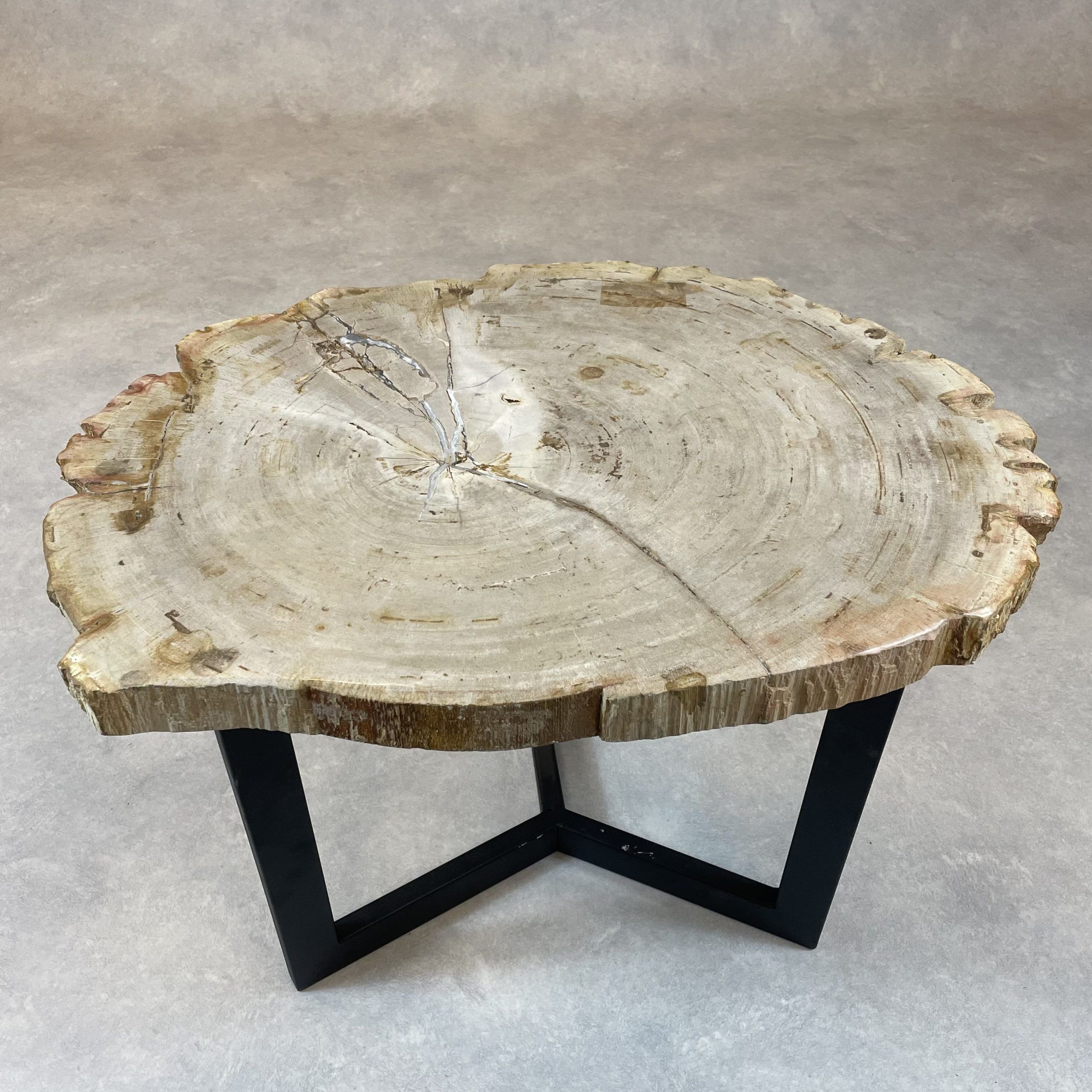Versteend hout salontafel