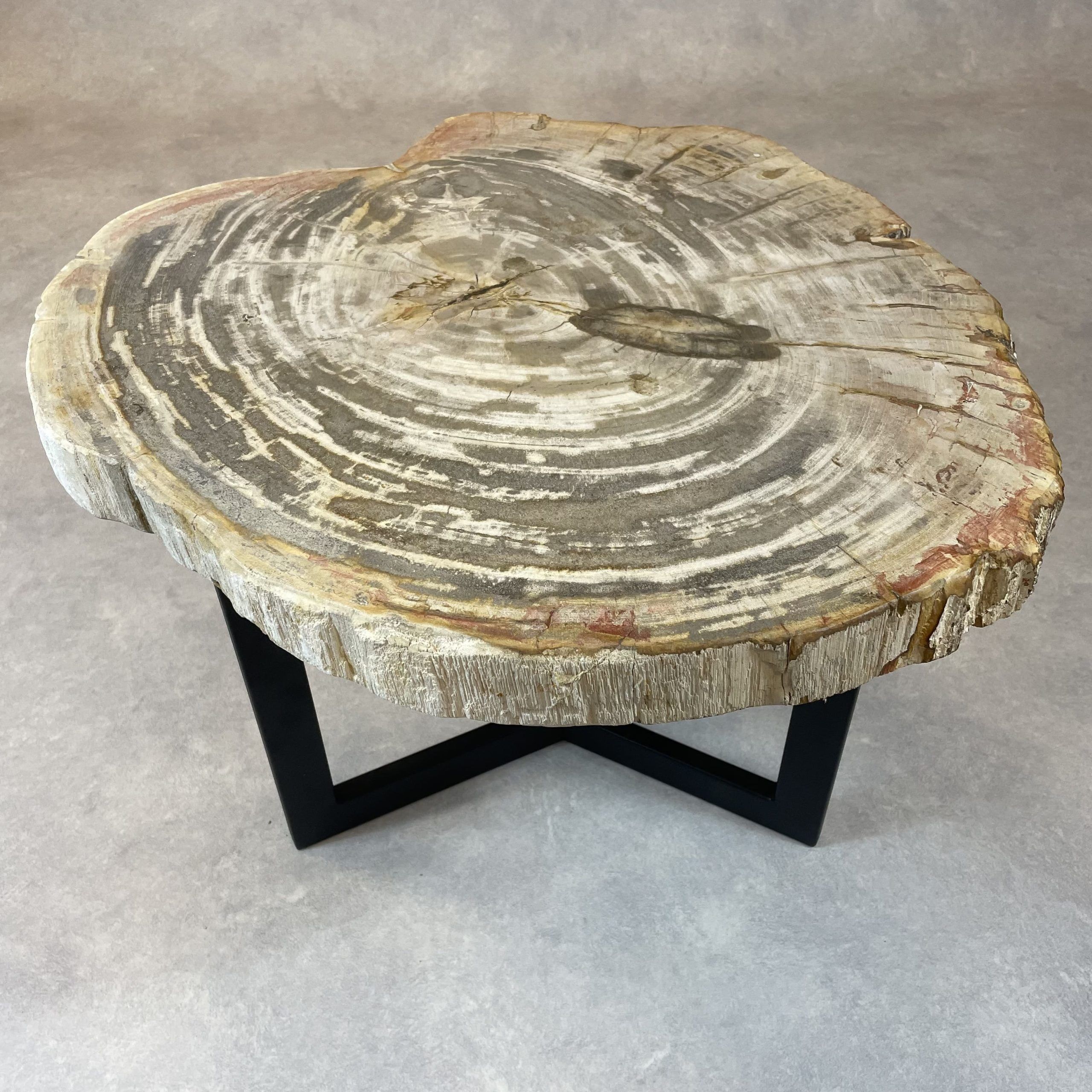 Versteend hout salontafel