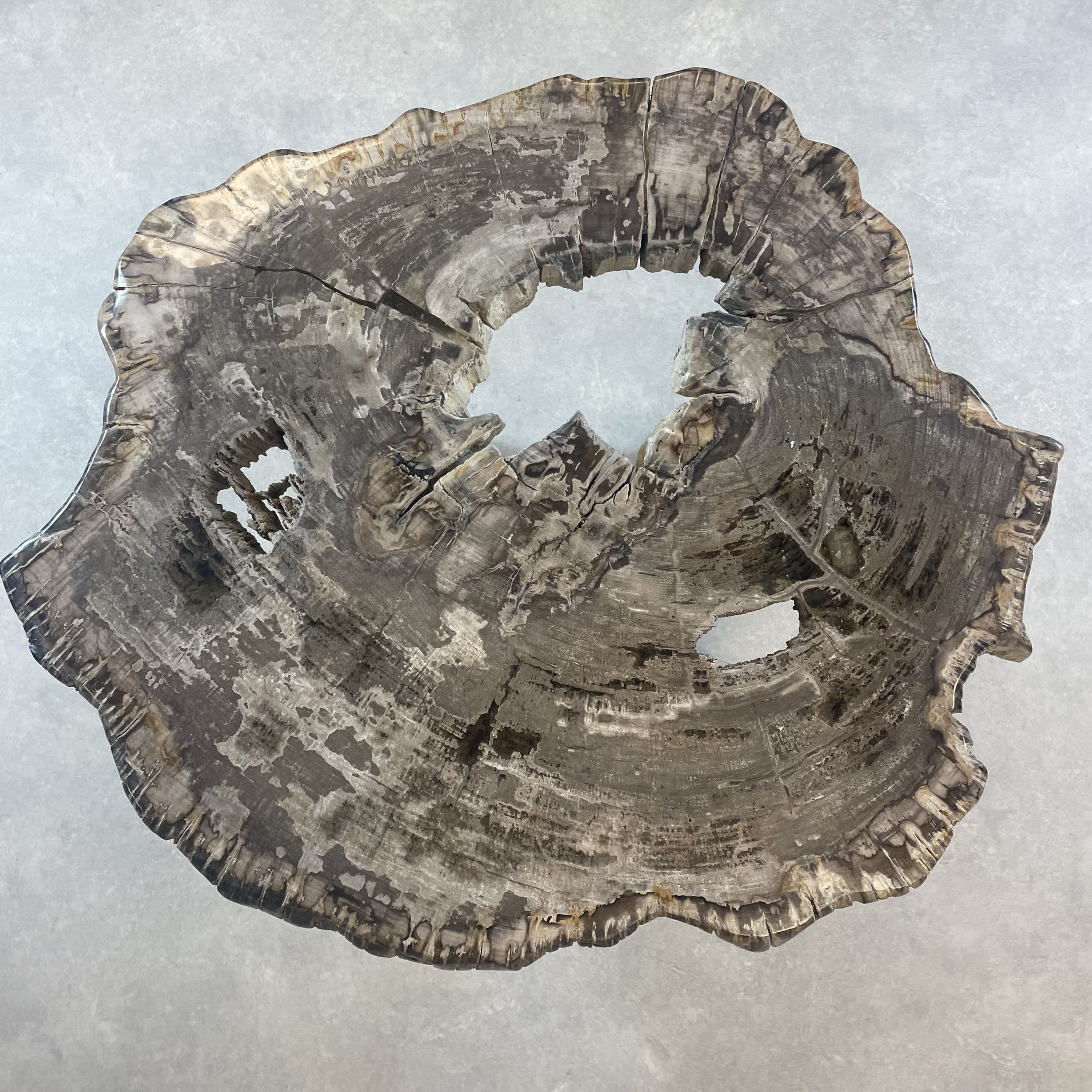 Versteend hout salontafel