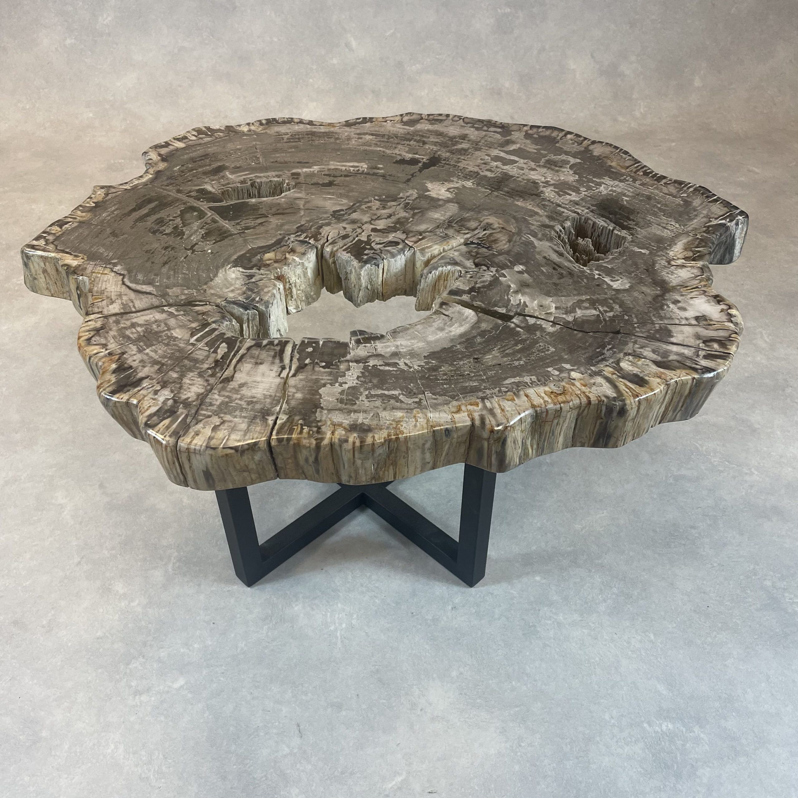 Versteend hout salontafel