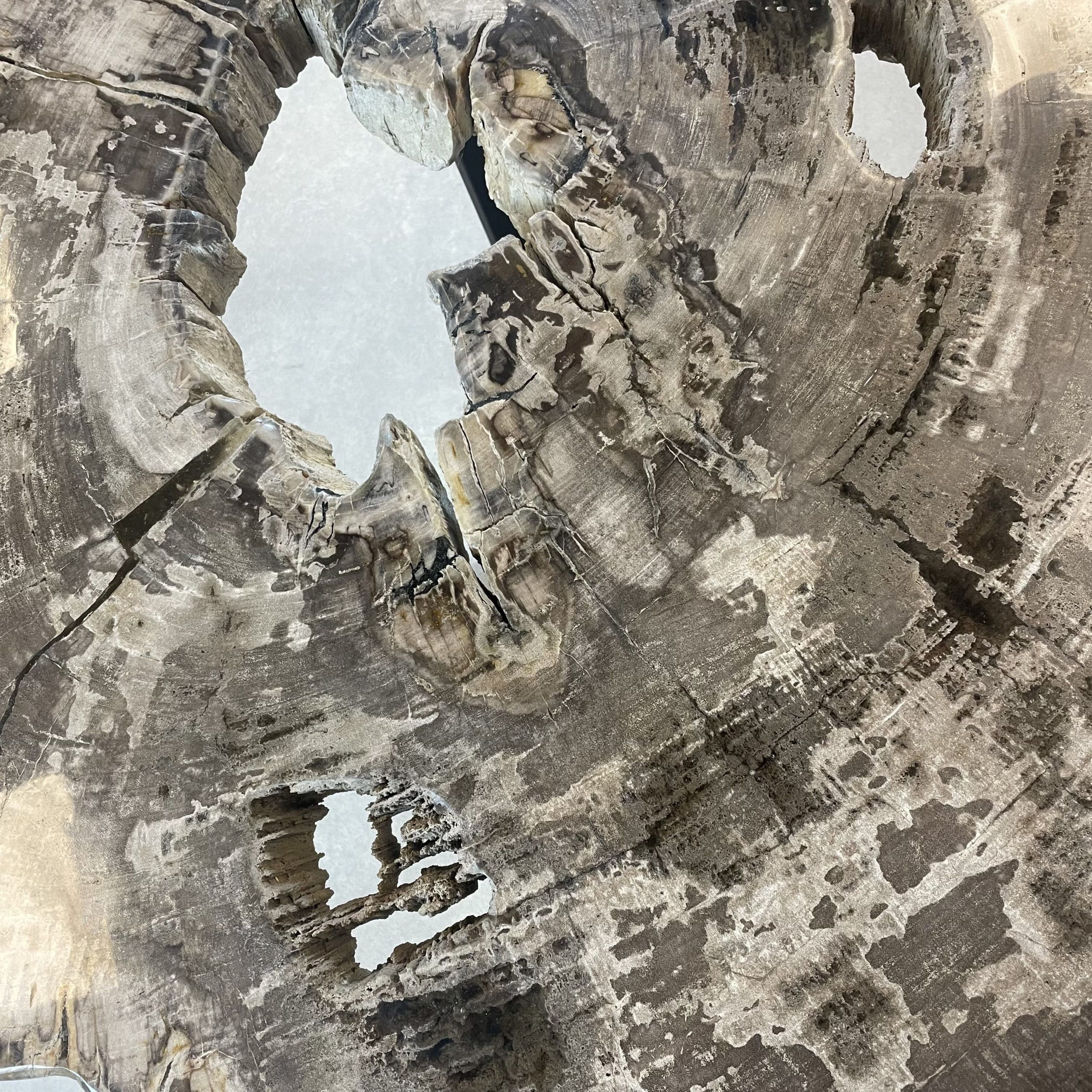 Versteend hout salontafel