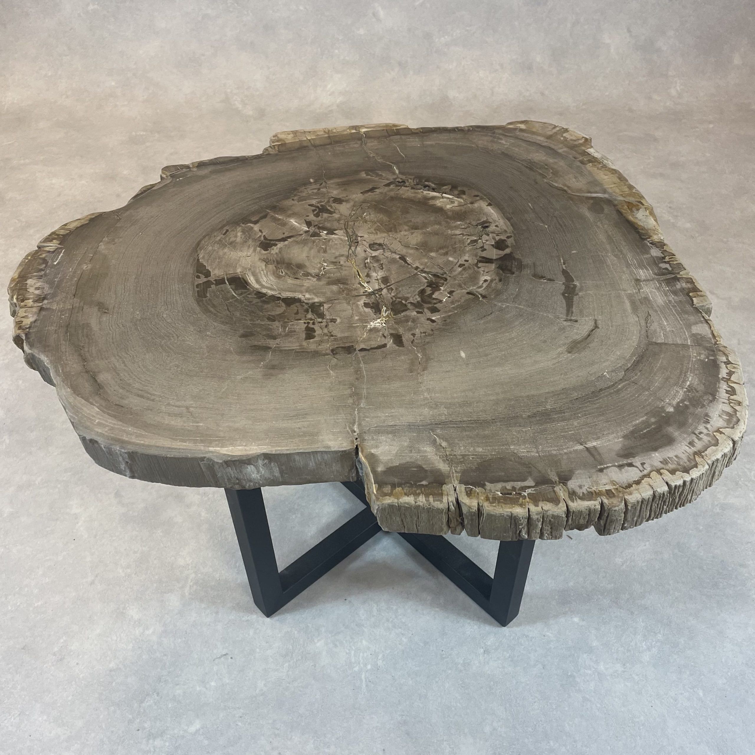 Versteend hout salontafel