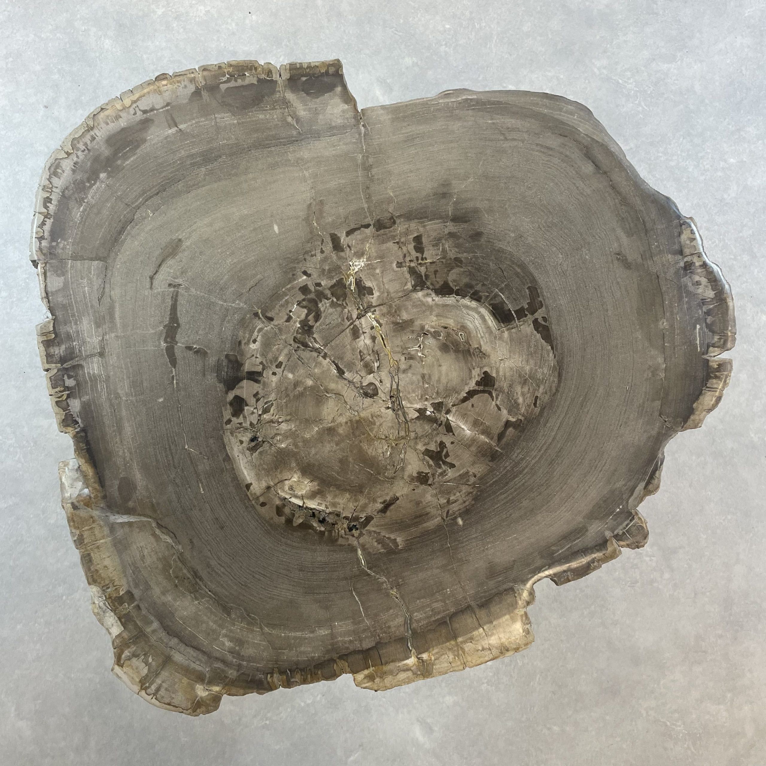 Versteend hout salontafel