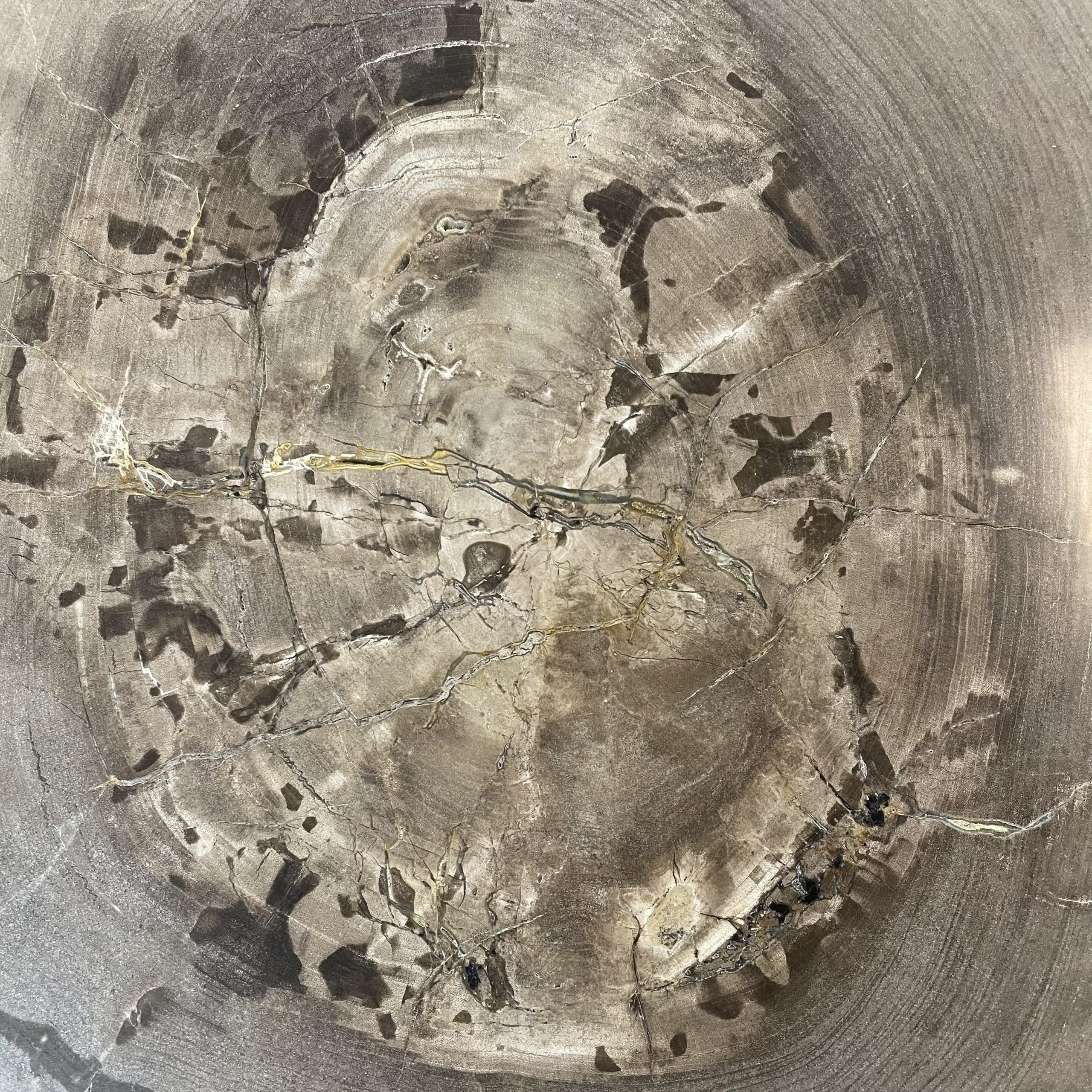 Versteend hout salontafel