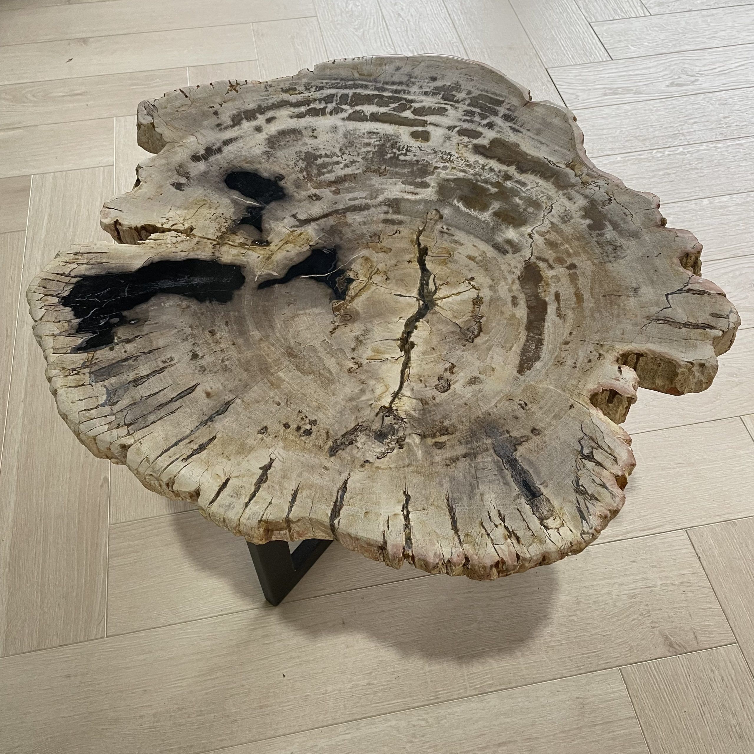 salontafel versteend hout