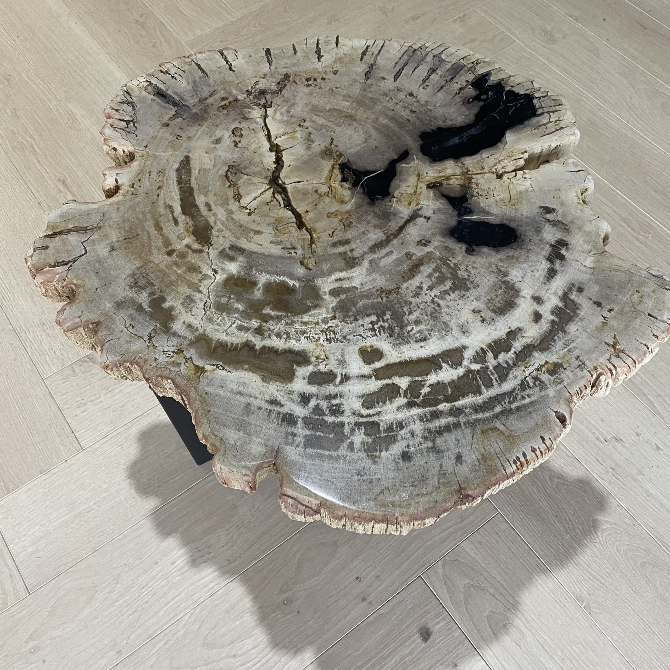 salontafel versteend hout