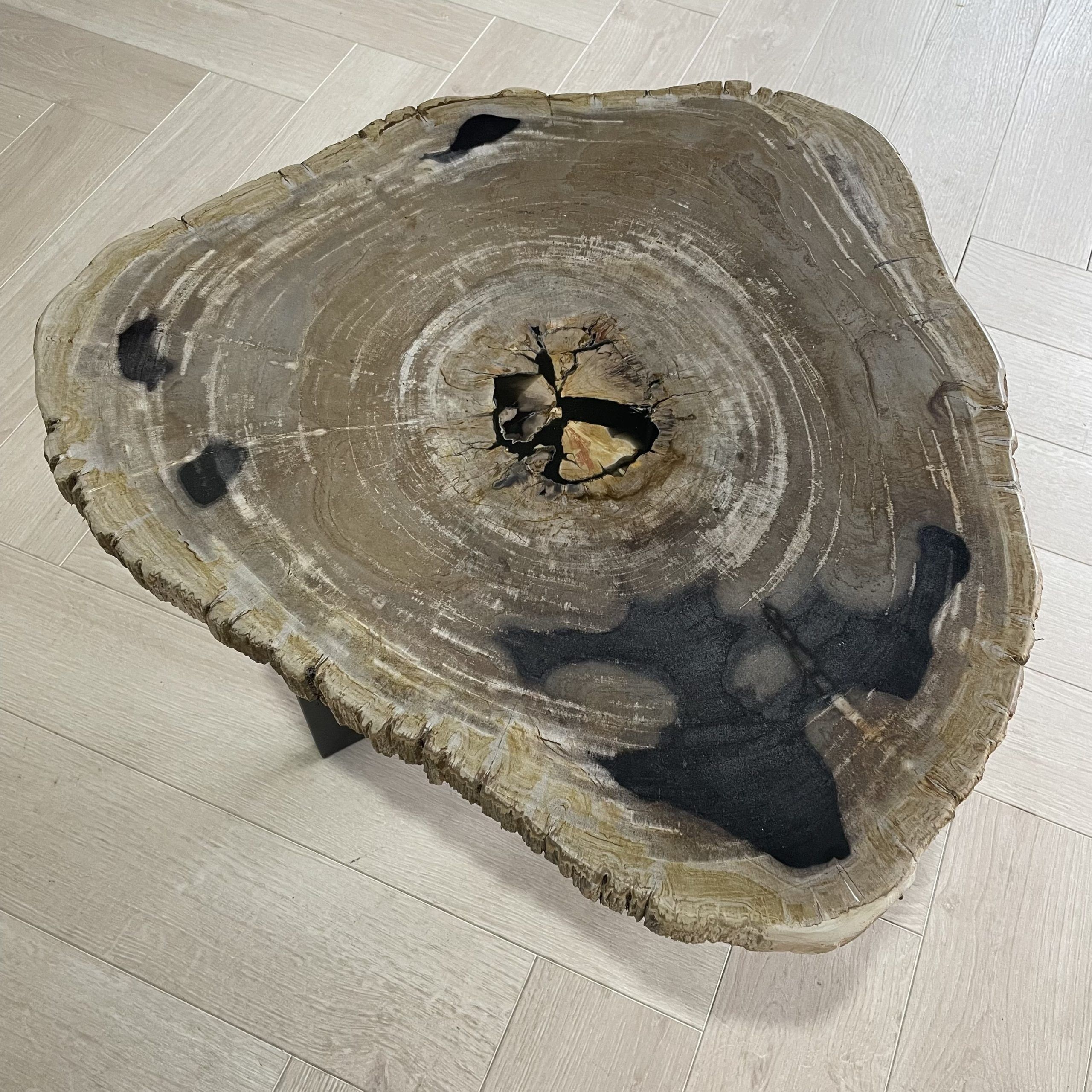 salontafel versteend hout