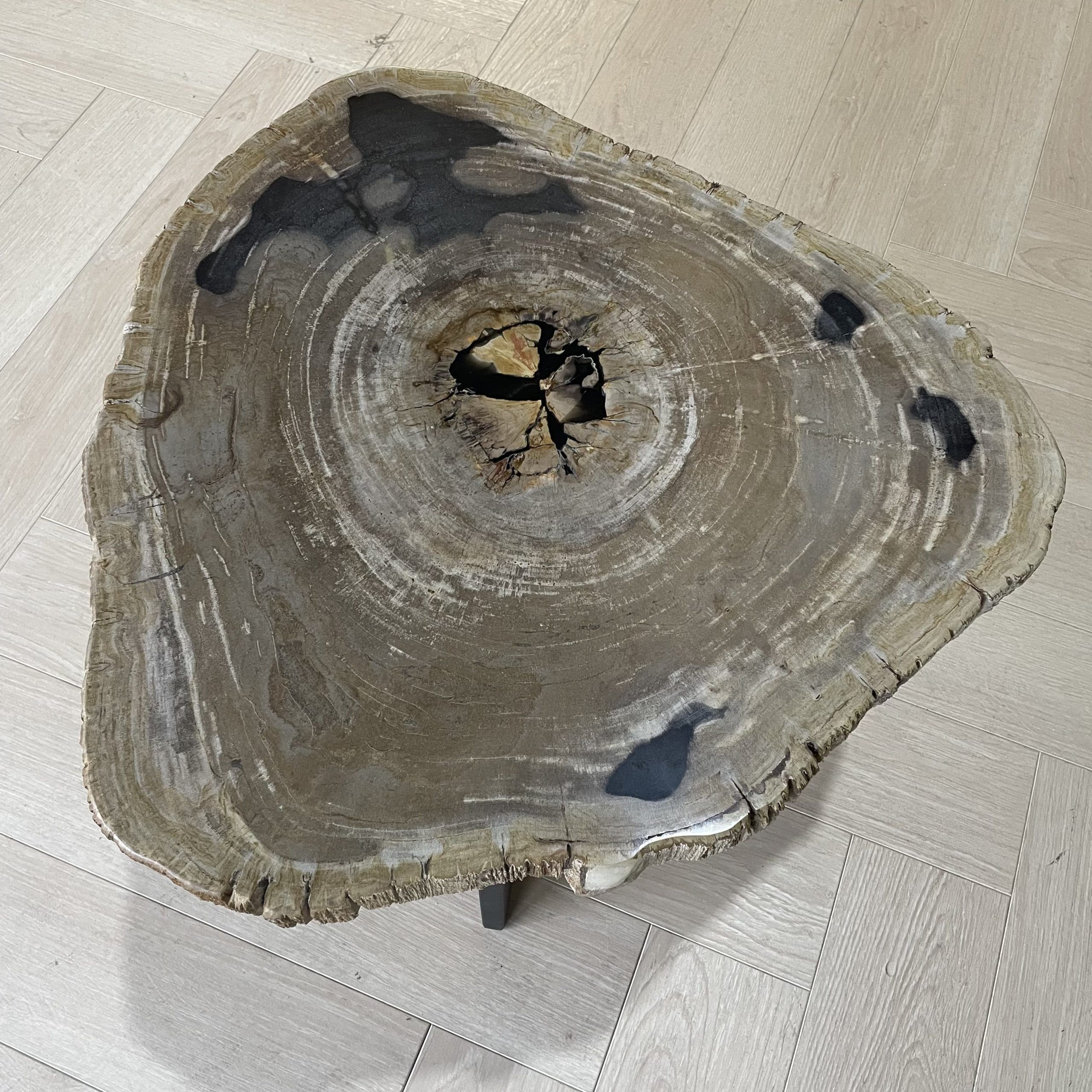 salontafel versteend hout