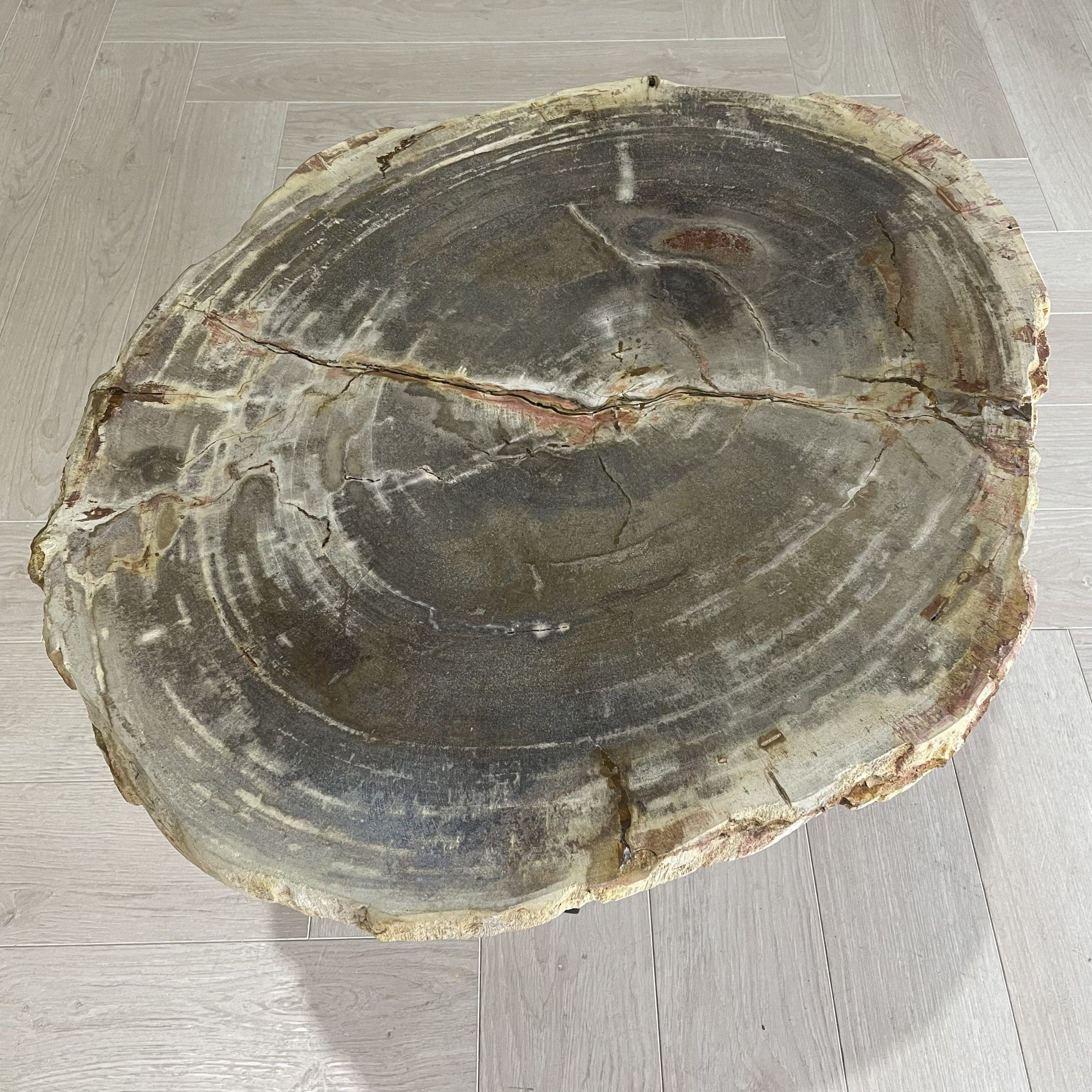 salontafel versteend hout